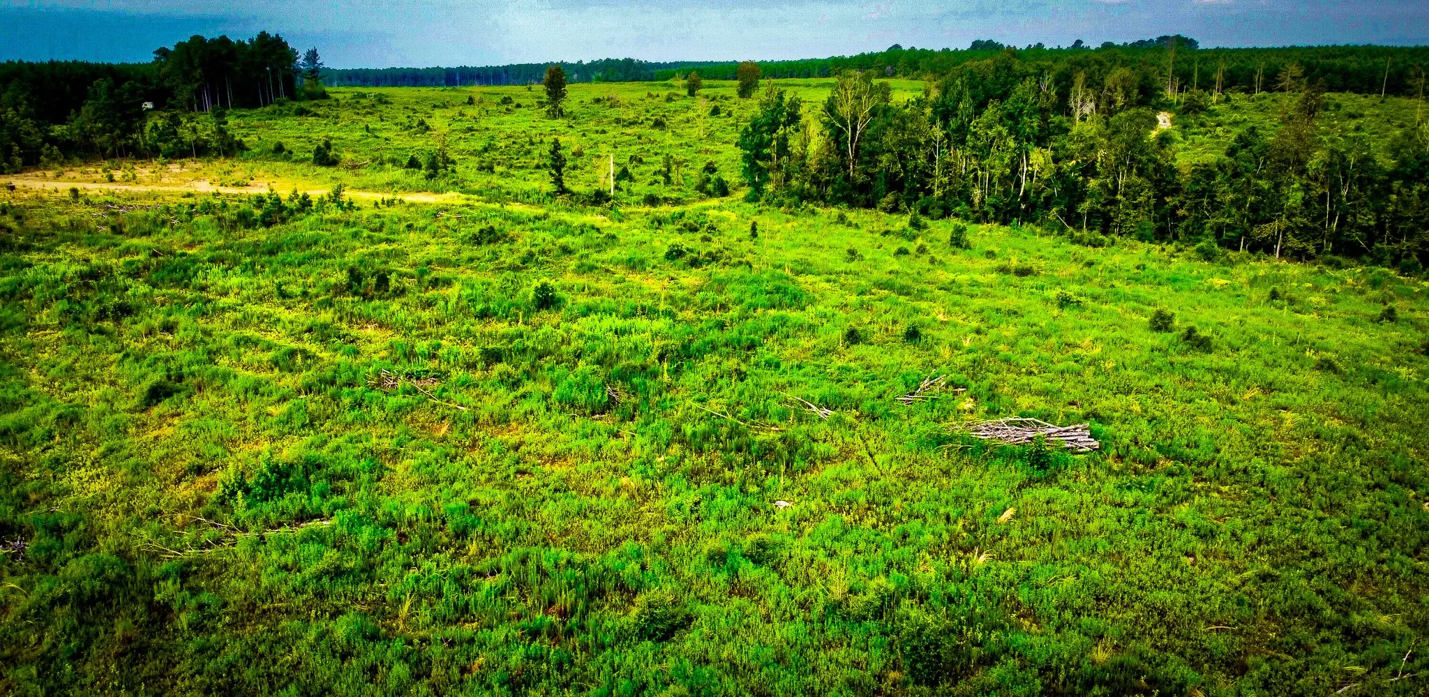 Ranch For Sale in Polk County , TBD Segno Fire Lane, Livingston, Texas 77371, 0, 0, Garage spaces, 0 Sqft, built in 0, mls#21374576, Real Estate Agent in Livingston, Homes For Sale in Polk county, Homes For Sale in Livingston, Realtor in Livingston Texas, Real Estate Brokerage Independent Realty Texas, Luminita Cordes Realtor