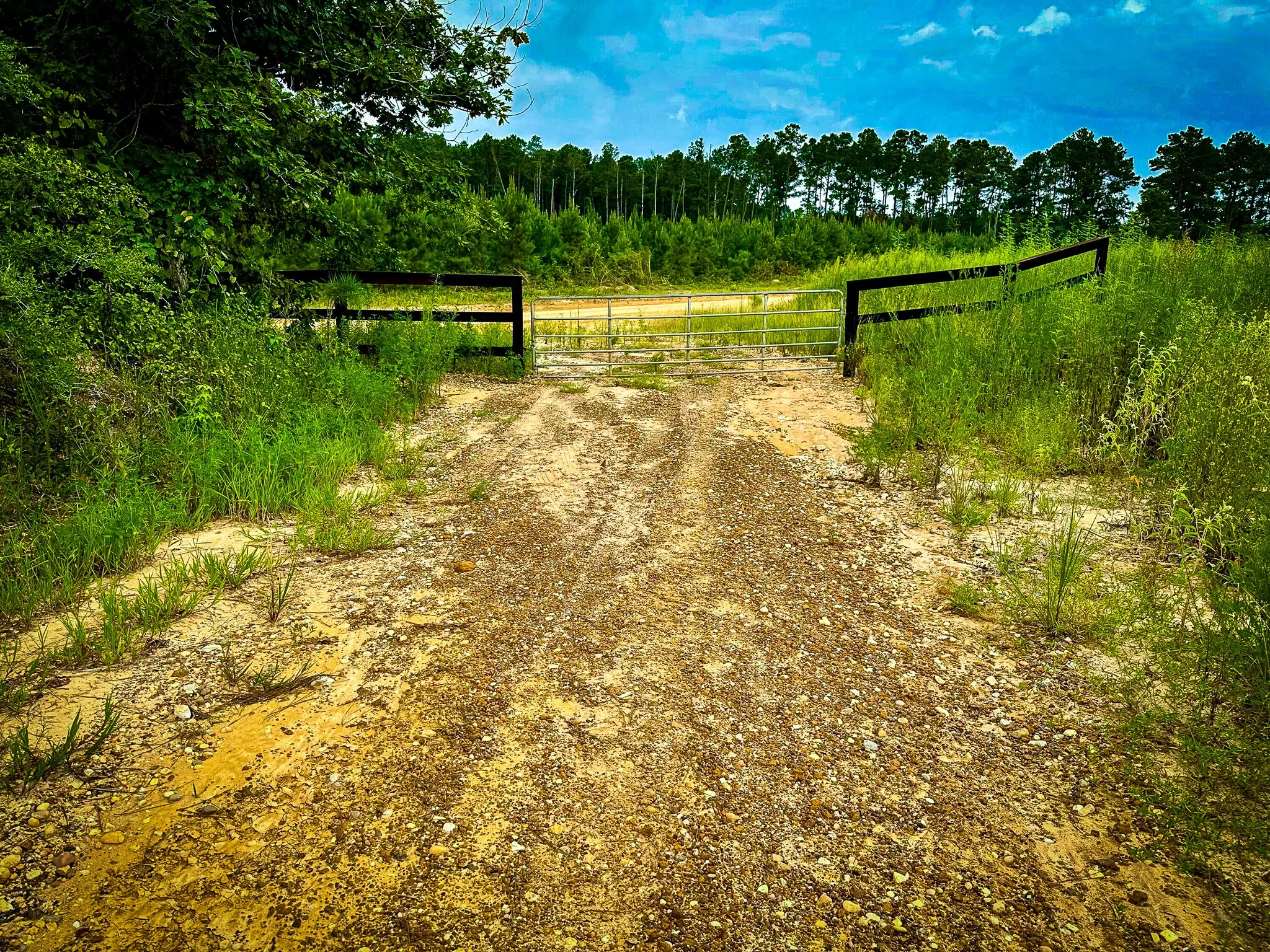 Ranch For Sale in Polk County , TBD Segno Fire Lane, Livingston, Texas 77371, 0, 0, Garage spaces, 0 Sqft, built in 0, mls#21374576, Real Estate Agent in Livingston, Homes For Sale in Polk county, Homes For Sale in Livingston, Realtor in Livingston Texas, Real Estate Brokerage Independent Realty Texas, Luminita Cordes Realtor