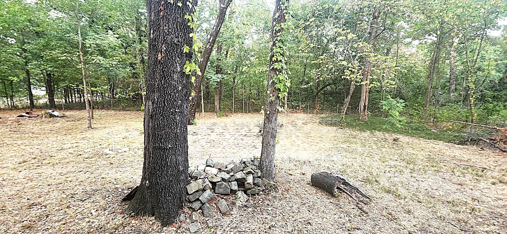 Large yard connects to other 3 lots that are included in the sale