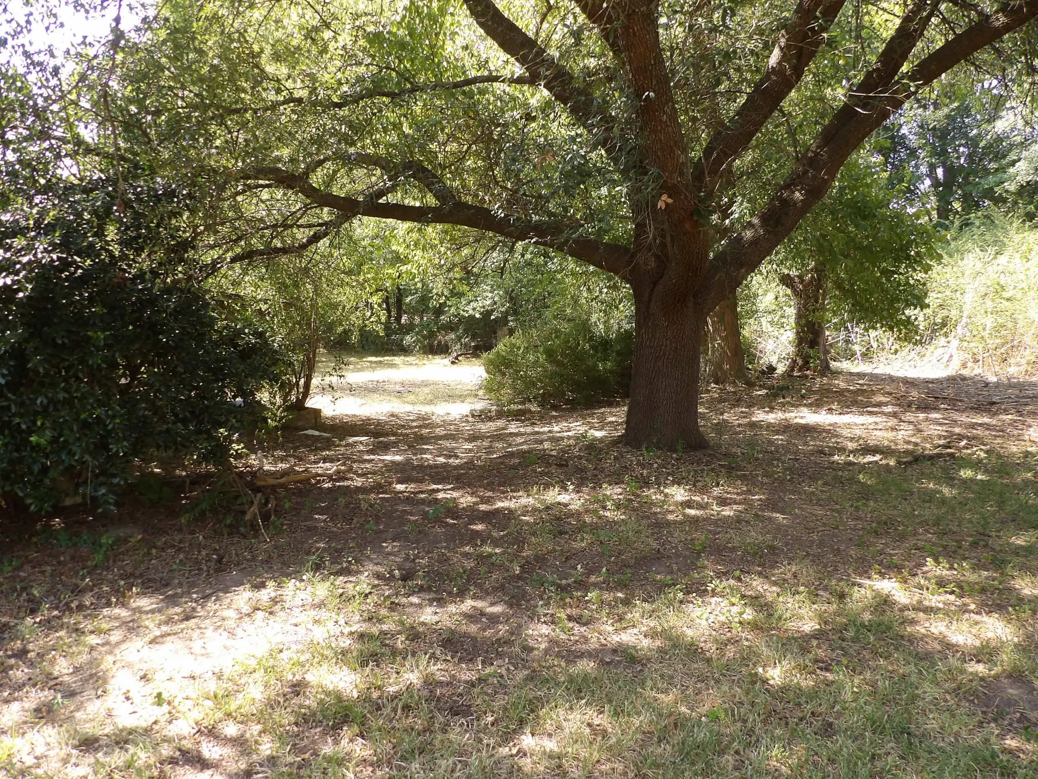 Backyard View 2