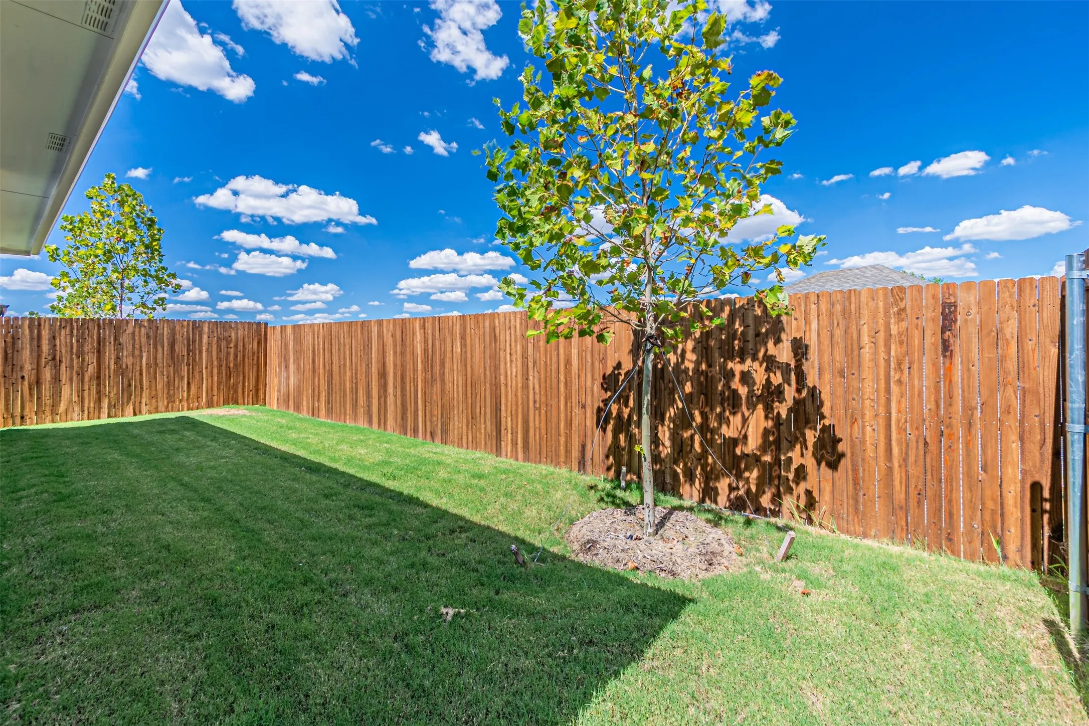 Single Family Residence For Rent in Collin County , 6005 alderton Drive, Mc Kinney, Texas 75071, 4 Bedroom, 2 Bathroom, 2 Garage spaces, 1,605 Sqft, built in 2026, mls#21374590, Real Estate Agent in Mc Kinney, Homes For Rent in Collin county, Homes For Rent in Mc Kinney, Realtor in Mc Kinney Texas, Real Estate Brokerage Independent Realty Texas, Luminita Cordes Realtor