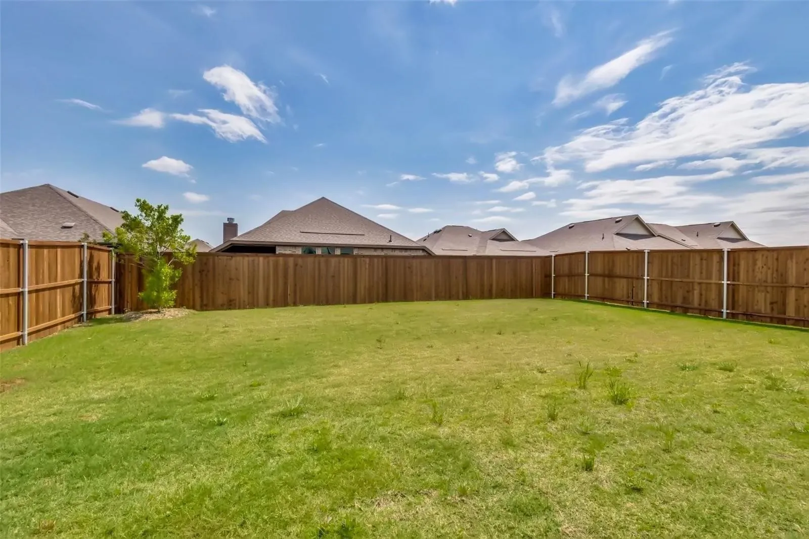 Expansive green lawn enclosed by a tall wood privacy fence