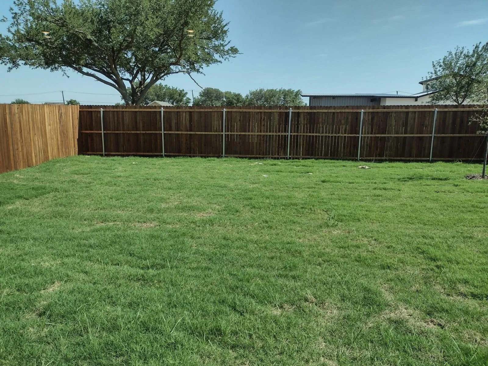Expansive lawn with a wood privacy fence featuring metal posts