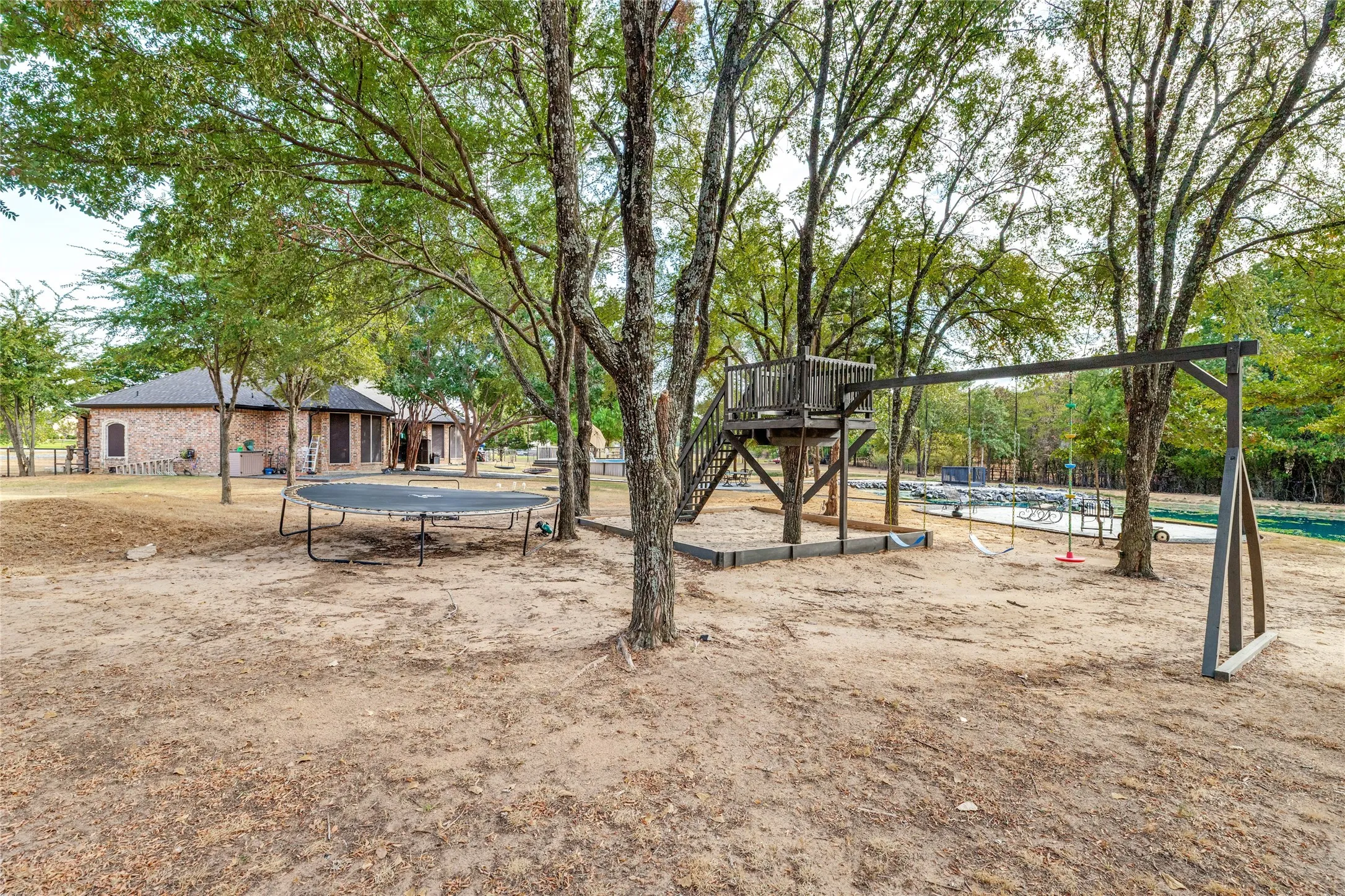 Tree House and Swing