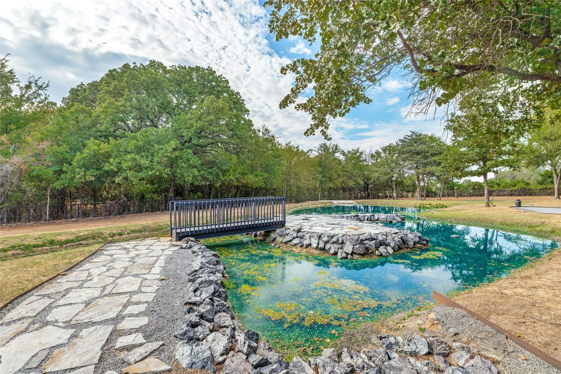 Pond