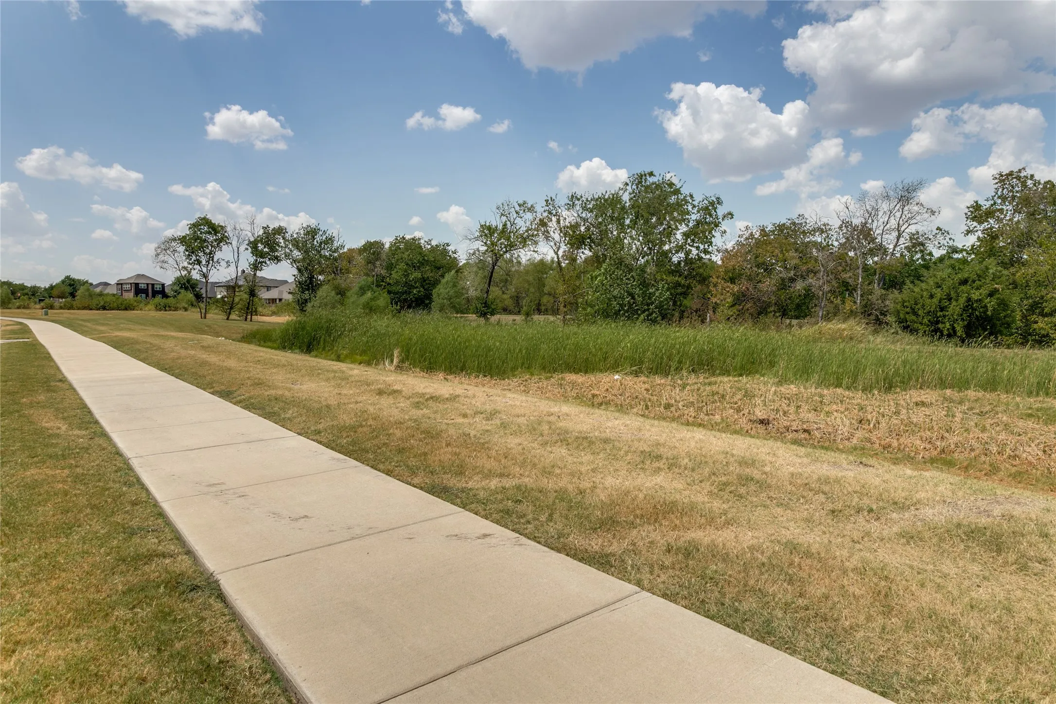 Walking trails across from the house