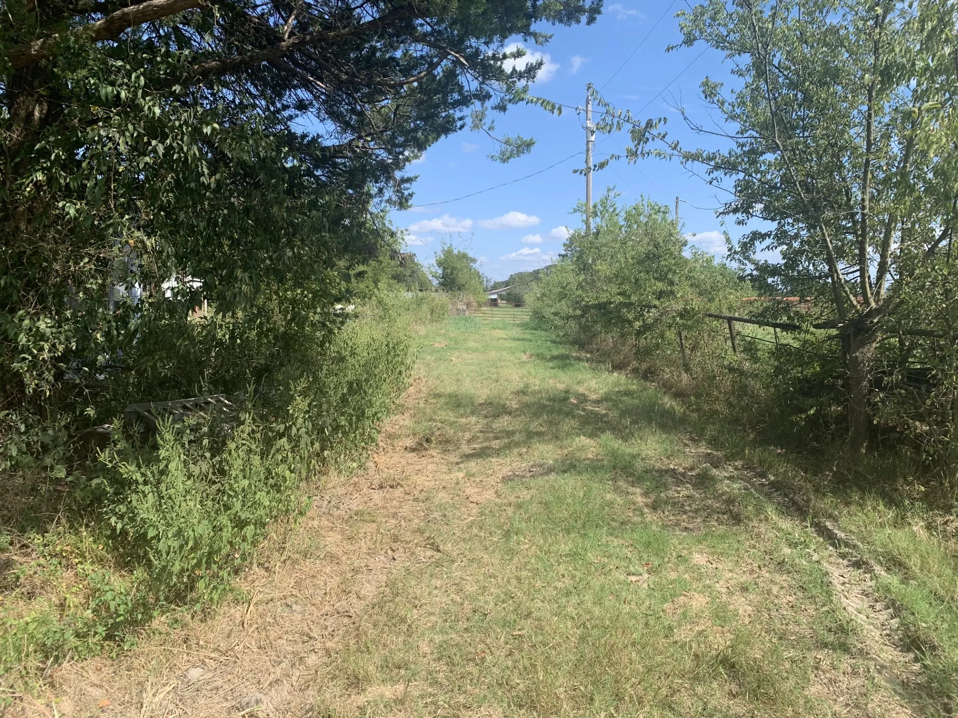 Unimproved Land For Sale in Hunt County , 2165 County Road 3304, Greenville, Texas 75402, 0, 0, Garage spaces, 0 Sqft, built in 0, mls#21374657, Real Estate Agent in Greenville, Homes For Sale in Hunt county, Homes For Sale in Greenville, Realtor in Greenville Texas, Real Estate Brokerage Independent Realty Texas, Luminita Cordes Realtor