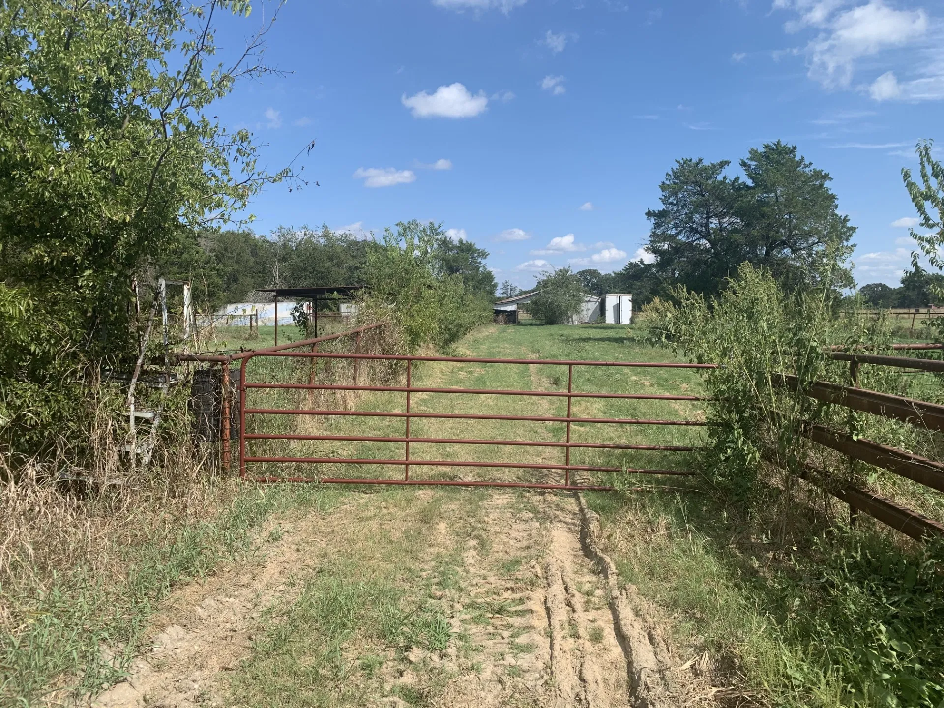 Unimproved Land For Sale in Hunt County , 2165 County Road 3304, Greenville, Texas 75402, 0, 0, Garage spaces, 0 Sqft, built in 0, mls#21374657, Real Estate Agent in Greenville, Homes For Sale in Hunt county, Homes For Sale in Greenville, Realtor in Greenville Texas, Real Estate Brokerage Independent Realty Texas, Luminita Cordes Realtor