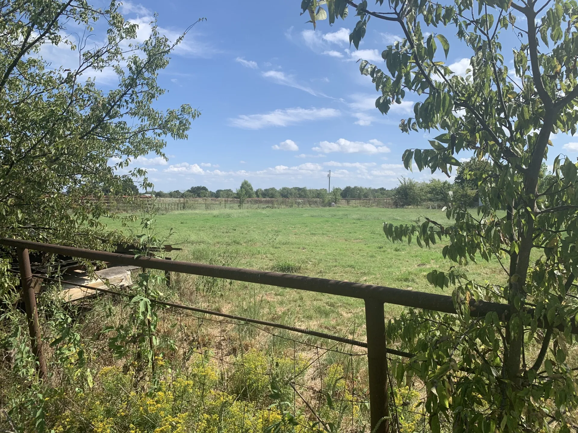 Unimproved Land For Sale in Hunt County , 2165 County Road 3304, Greenville, Texas 75402, 0, 0, Garage spaces, 0 Sqft, built in 0, mls#21374657, Real Estate Agent in Greenville, Homes For Sale in Hunt county, Homes For Sale in Greenville, Realtor in Greenville Texas, Real Estate Brokerage Independent Realty Texas, Luminita Cordes Realtor