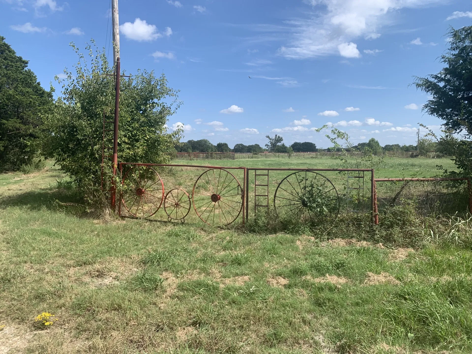 Unimproved Land For Sale in Hunt County , 2165 County Road 3304, Greenville, Texas 75402, 0, 0, Garage spaces, 0 Sqft, built in 0, mls#21374657, Real Estate Agent in Greenville, Homes For Sale in Hunt county, Homes For Sale in Greenville, Realtor in Greenville Texas, Real Estate Brokerage Independent Realty Texas, Luminita Cordes Realtor