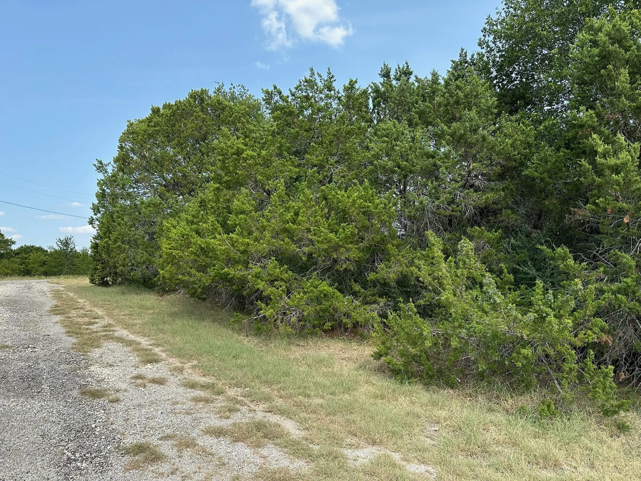 Improved Land For Sale in Hill County , 18034 & 18035 & 18036 S Southhill Drive, Whitney, Texas 76692, 0, 0, Garage spaces, 0 Sqft, built in 0, mls#21347960, Real Estate Agent in Whitney, Homes For Sale in Hill county, Homes For Sale in Whitney, Realtor in Whitney Texas, Real Estate Brokerage Independent Realty Texas, Luminita Cordes Realtor