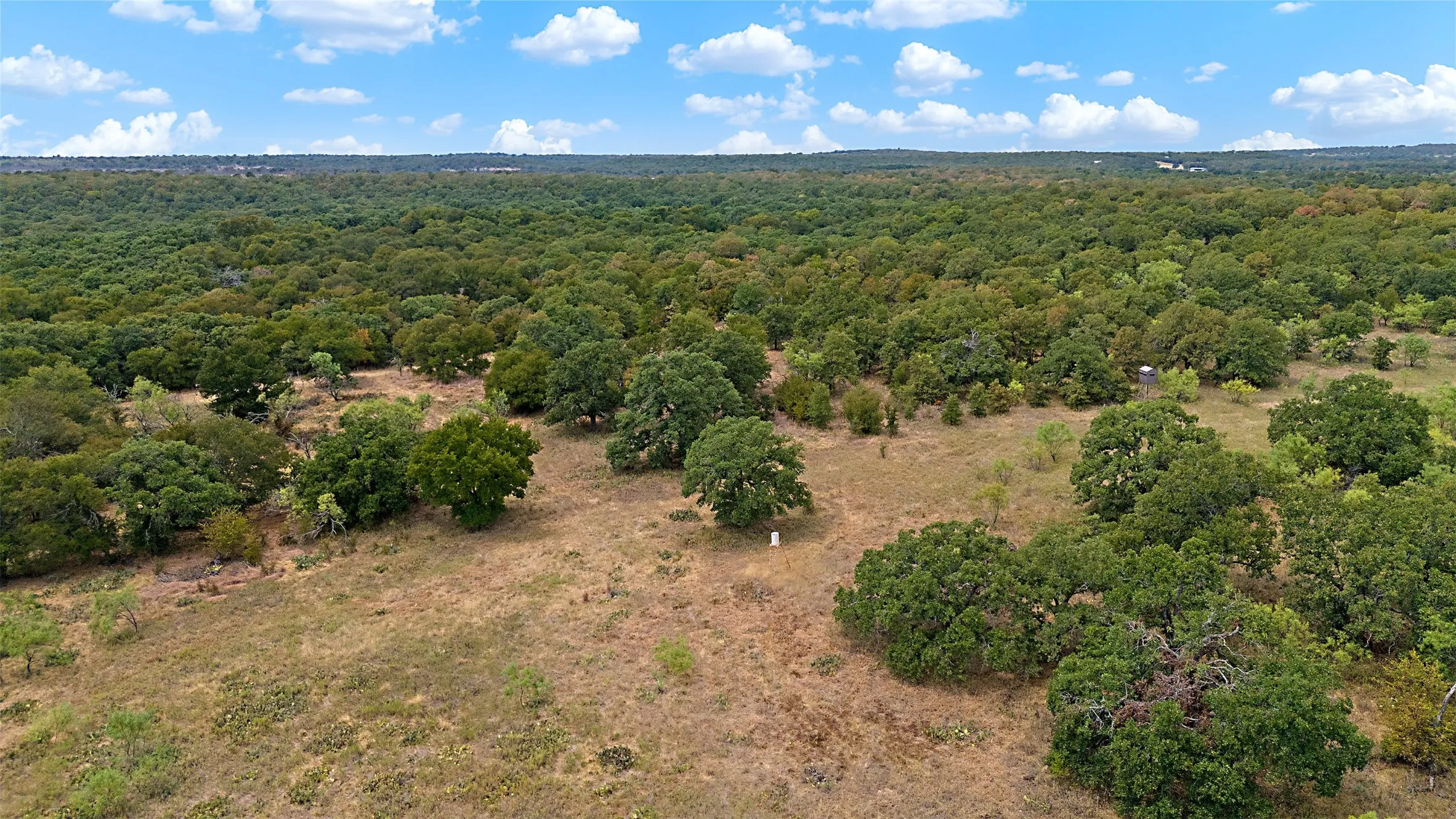 Ranch For Sale in Jack County , TBD Bloodworth Road, Bowie, Texas 76230, 0, 0, Garage spaces, 0 Sqft, built in 0, mls#21374665, Real Estate Agent in Bowie, Homes For Sale in Jack county, Homes For Sale in Bowie, Realtor in Bowie Texas, Real Estate Brokerage Independent Realty Texas, Luminita Cordes Realtor