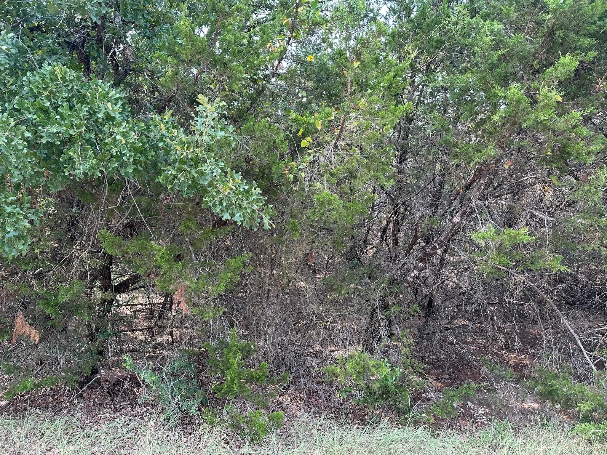 Improved Land For Sale in Hill County , 18038 & 18039 Southhill Drive, Whitney, Texas 76692, 0, 0, Garage spaces, 0 Sqft, built in 0, mls#21347962, Real Estate Agent in Whitney, Homes For Sale in Hill county, Homes For Sale in Whitney, Realtor in Whitney Texas, Real Estate Brokerage Independent Realty Texas, Luminita Cordes Realtor