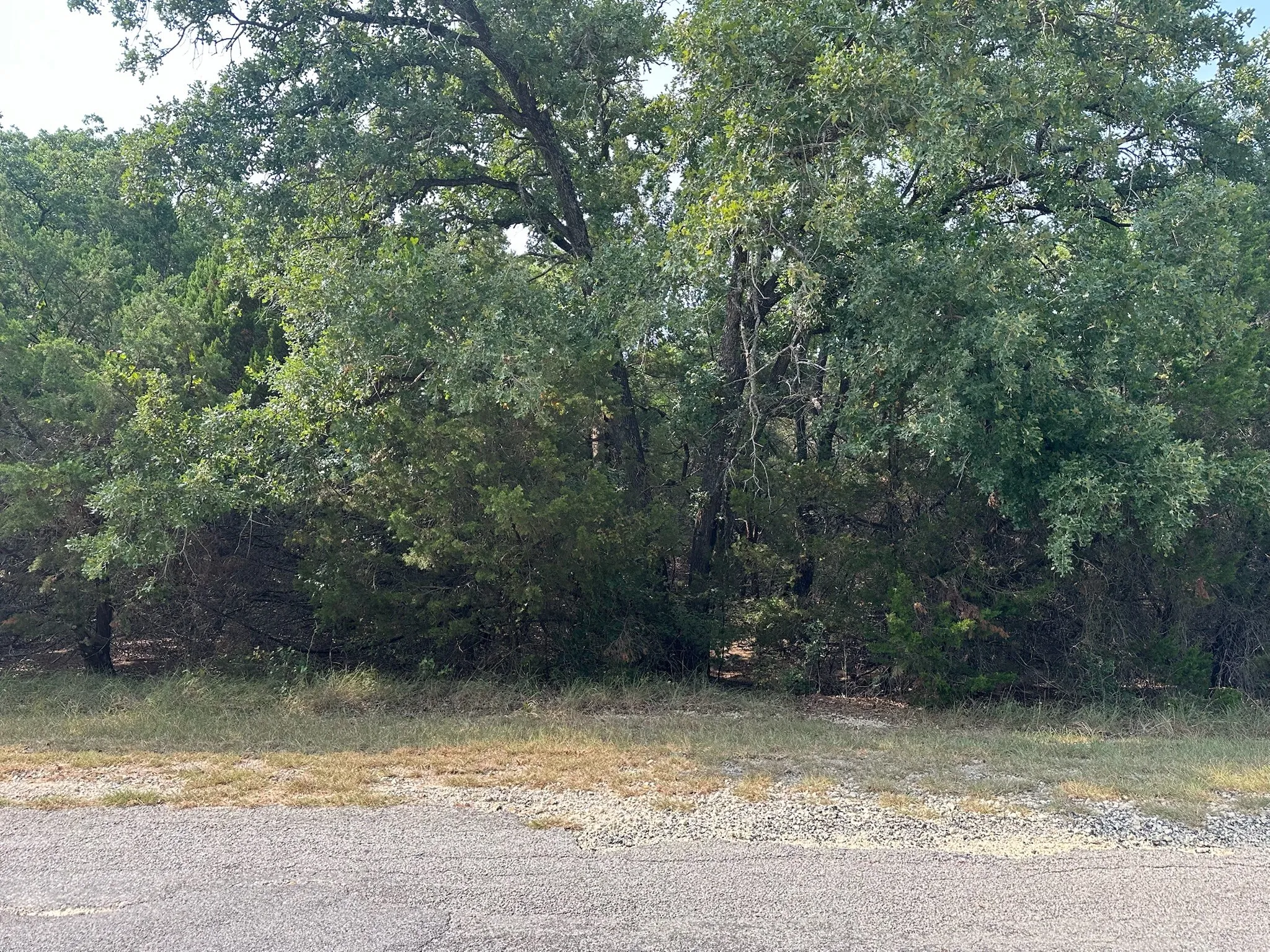 Improved Land For Sale in Hill County , 18038 & 18039 Southhill Drive, Whitney, Texas 76692, 0, 0, Garage spaces, 0 Sqft, built in 0, mls#21347962, Real Estate Agent in Whitney, Homes For Sale in Hill county, Homes For Sale in Whitney, Realtor in Whitney Texas, Real Estate Brokerage Independent Realty Texas, Luminita Cordes Realtor