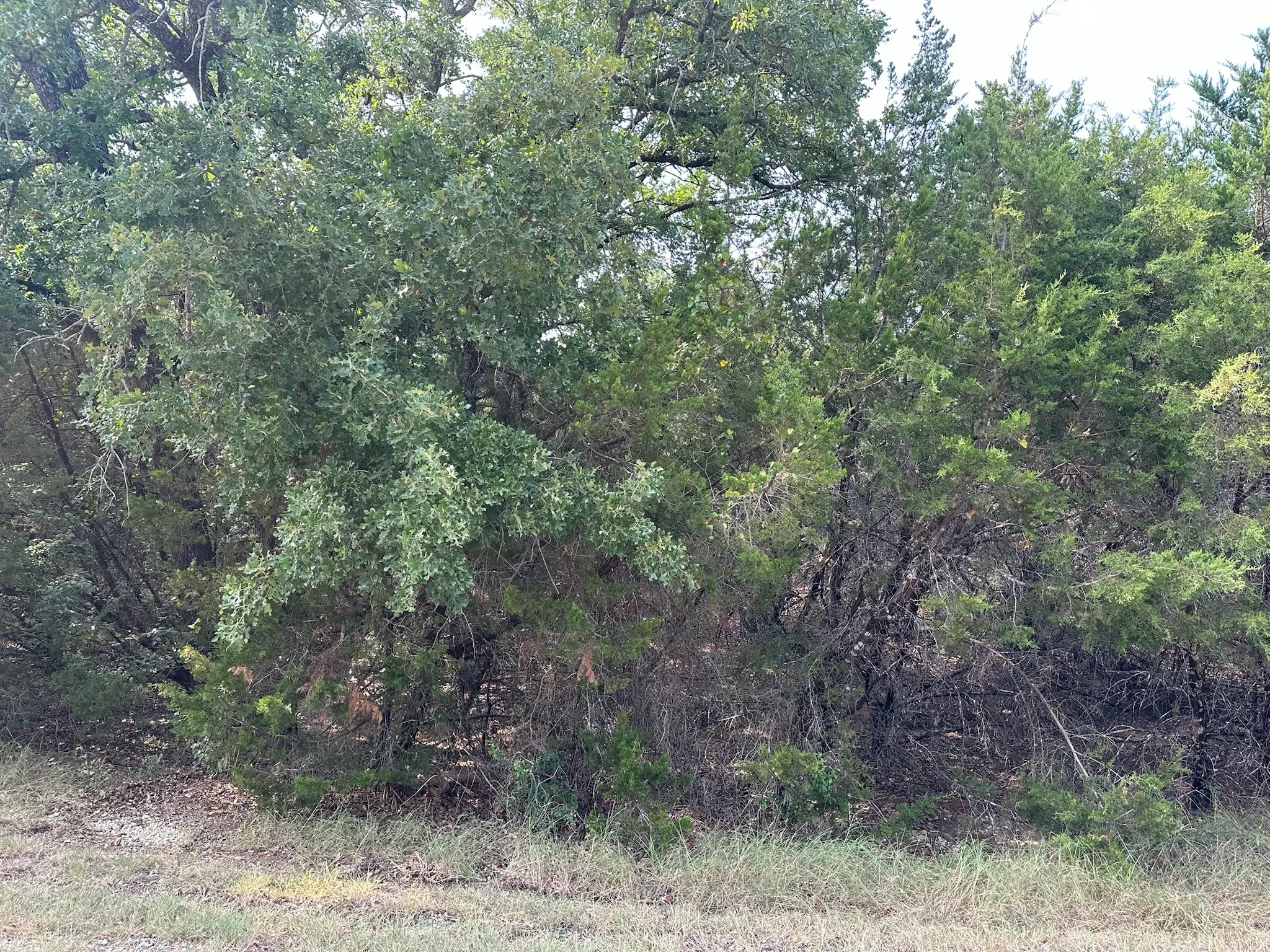 Improved Land For Sale in Hill County , 18038 & 18039 Southhill Drive, Whitney, Texas 76692, 0, 0, Garage spaces, 0 Sqft, built in 0, mls#21347962, Real Estate Agent in Whitney, Homes For Sale in Hill county, Homes For Sale in Whitney, Realtor in Whitney Texas, Real Estate Brokerage Independent Realty Texas, Luminita Cordes Realtor