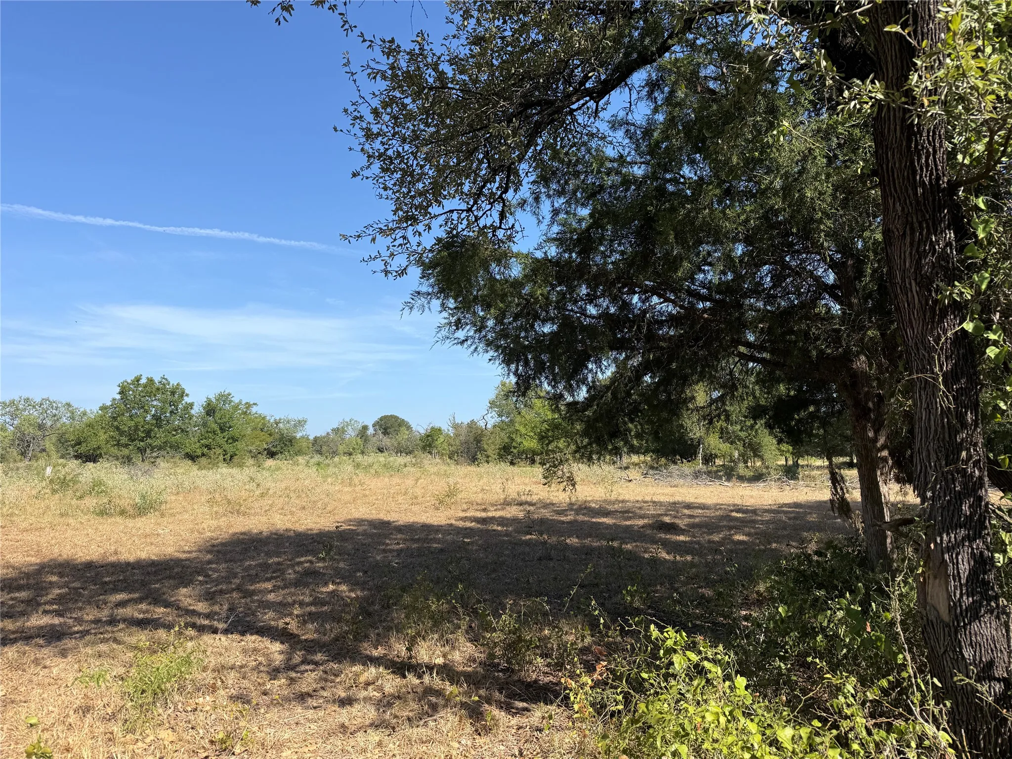 Unimproved Land For Sale in Freestone County , TBD FCR 1031, Wortham, Texas 76693, 0, 0, Garage spaces, 0 Sqft, built in 0, mls#21367778, Real Estate Agent in Wortham, Homes For Sale in Freestone county, Homes For Sale in Wortham, Realtor in Wortham Texas, Real Estate Brokerage Independent Realty Texas, Luminita Cordes Realtor