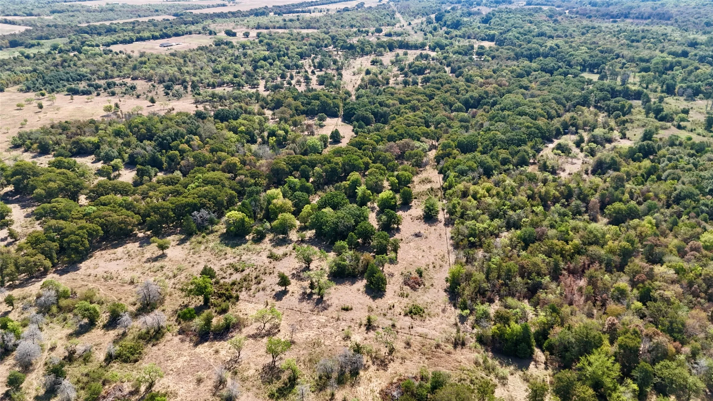Unimproved Land For Sale in Freestone County , TBD FCR 1031, Wortham, Texas 76693, 0, 0, Garage spaces, 0 Sqft, built in 0, mls#21367778, Real Estate Agent in Wortham, Homes For Sale in Freestone county, Homes For Sale in Wortham, Realtor in Wortham Texas, Real Estate Brokerage Independent Realty Texas, Luminita Cordes Realtor