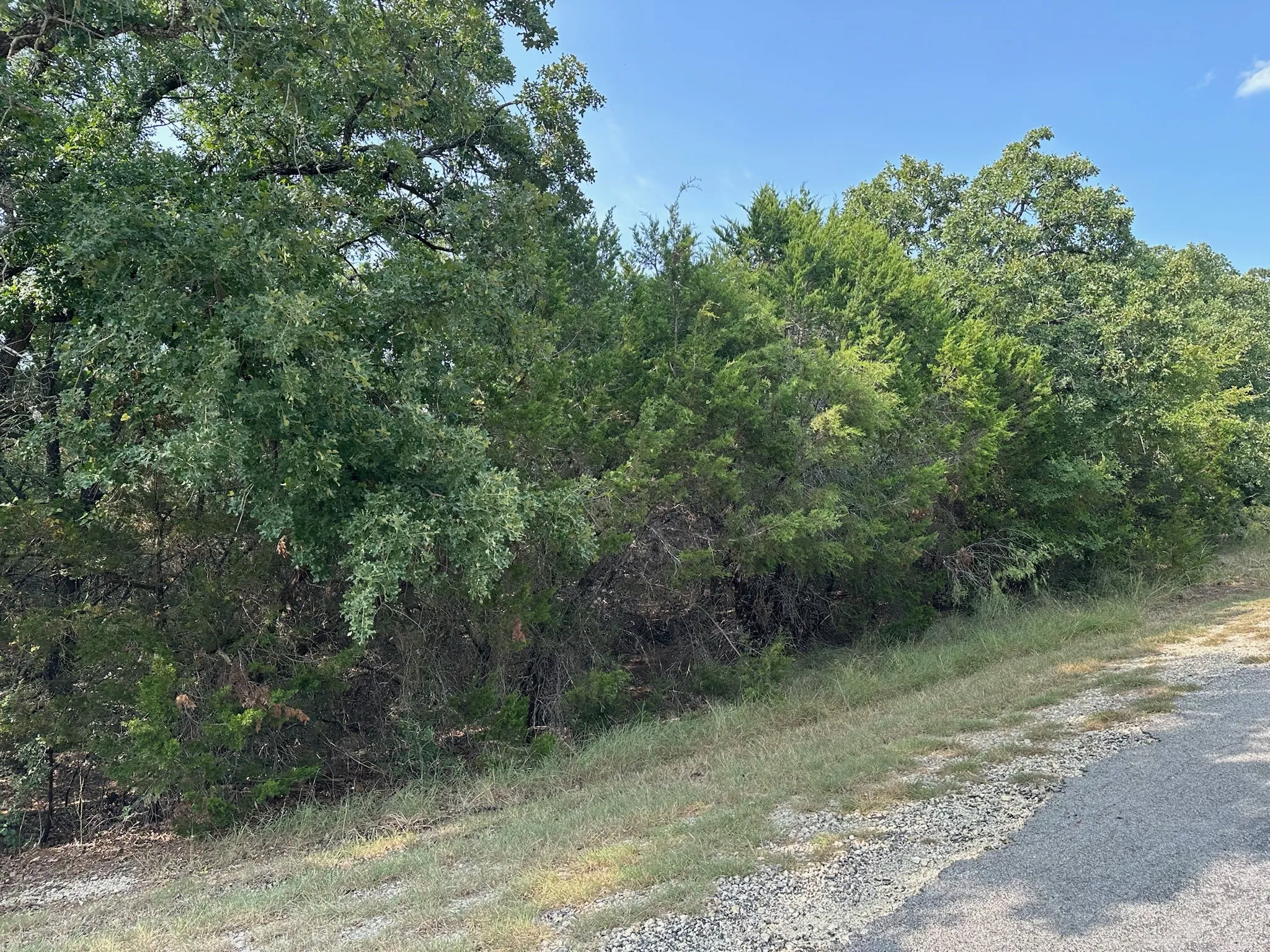 Improved Land For Sale in Hill County , 18049 & 18050 S Southhill Drive, Whitney, Texas 76692, 0, 0, Garage spaces, 0 Sqft, built in 0, mls#21360691, Real Estate Agent in Whitney, Homes For Sale in Hill county, Homes For Sale in Whitney, Realtor in Whitney Texas, Real Estate Brokerage Independent Realty Texas, Luminita Cordes Realtor