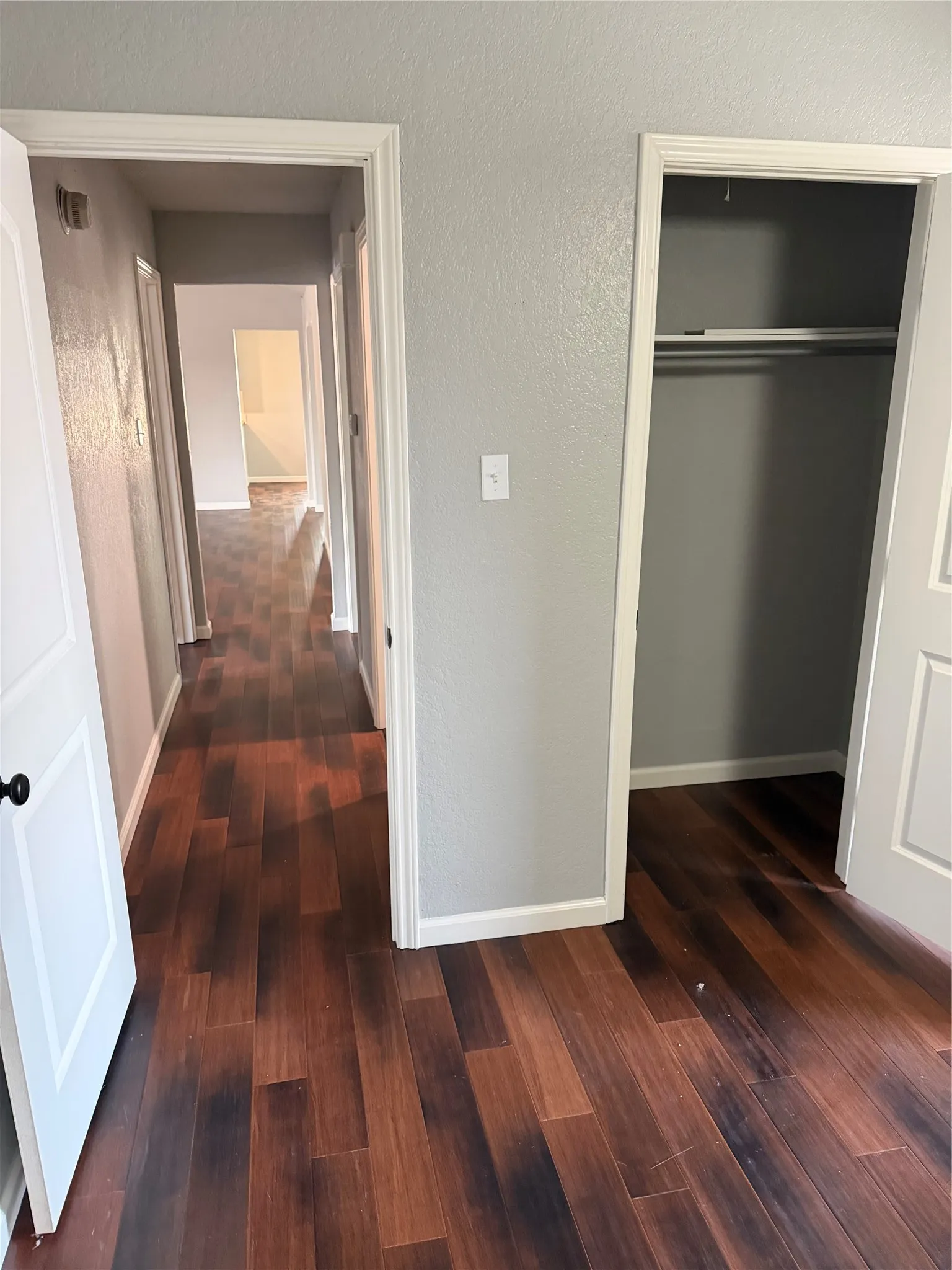 Wood-finish flooring, light grey wall paint, white trim, and a built-in closet with hanging rod