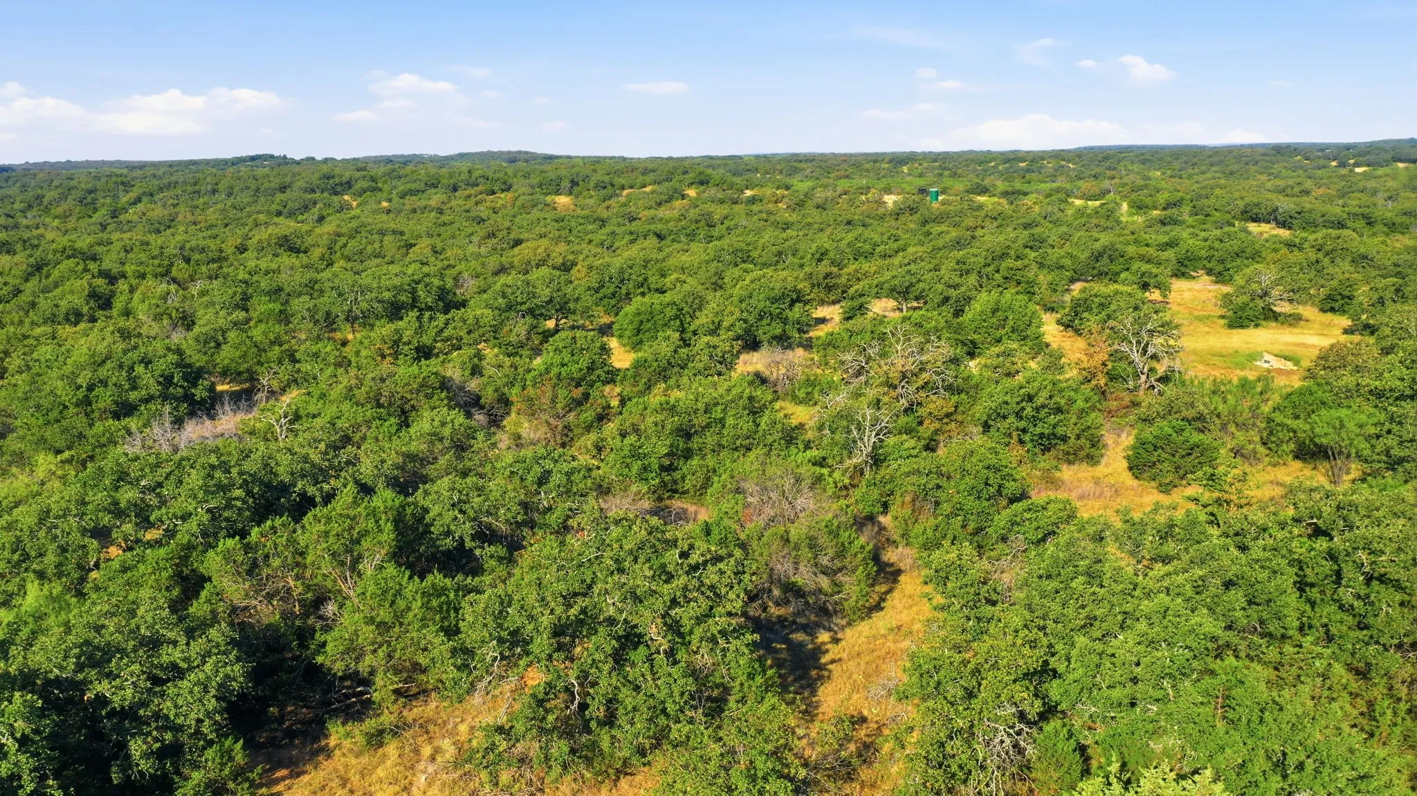 Unimproved Land For Sale in Stephens County , 613 Promise Trail, Ranger, Texas 76470, 0, 0, Garage spaces, 0 Sqft, built in 0, mls#21374308, Real Estate Agent in Ranger, Homes For Sale in Stephens county, Homes For Sale in Ranger, Realtor in Ranger Texas, Real Estate Brokerage Independent Realty Texas, Luminita Cordes Realtor