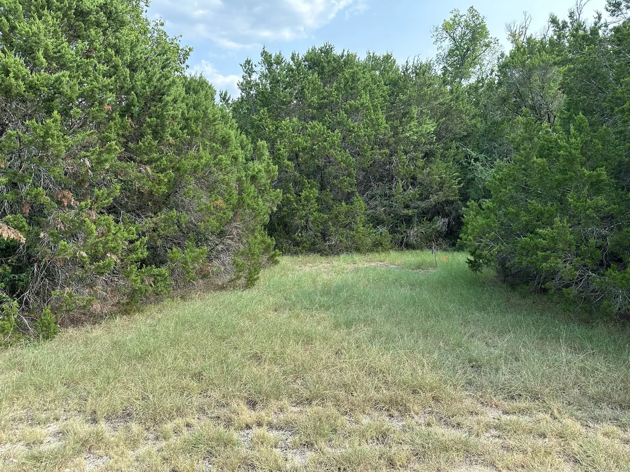 Improved Land For Sale in Hill County , 40023 & 40024 Brentwood Drive, Whitney, Texas 76692, 0, 0, Garage spaces, 0 Sqft, built in 0, mls#21336275, Real Estate Agent in Whitney, Homes For Sale in Hill county, Homes For Sale in Whitney, Realtor in Whitney Texas, Real Estate Brokerage Independent Realty Texas, Luminita Cordes Realtor