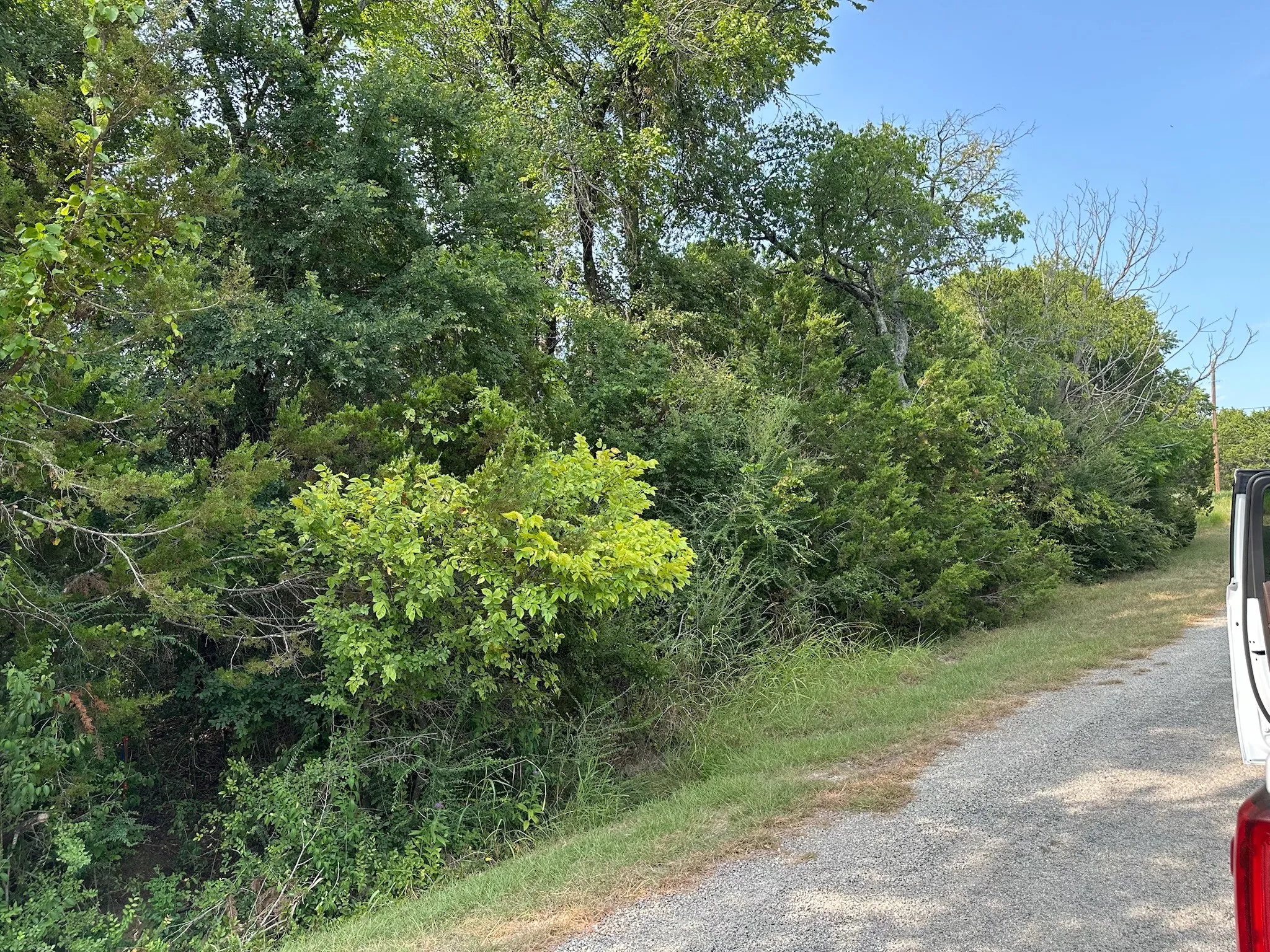 Improved Land For Sale in Hill County , 40023 & 40024 Brentwood Drive, Whitney, Texas 76692, 0, 0, Garage spaces, 0 Sqft, built in 0, mls#21336275, Real Estate Agent in Whitney, Homes For Sale in Hill county, Homes For Sale in Whitney, Realtor in Whitney Texas, Real Estate Brokerage Independent Realty Texas, Luminita Cordes Realtor