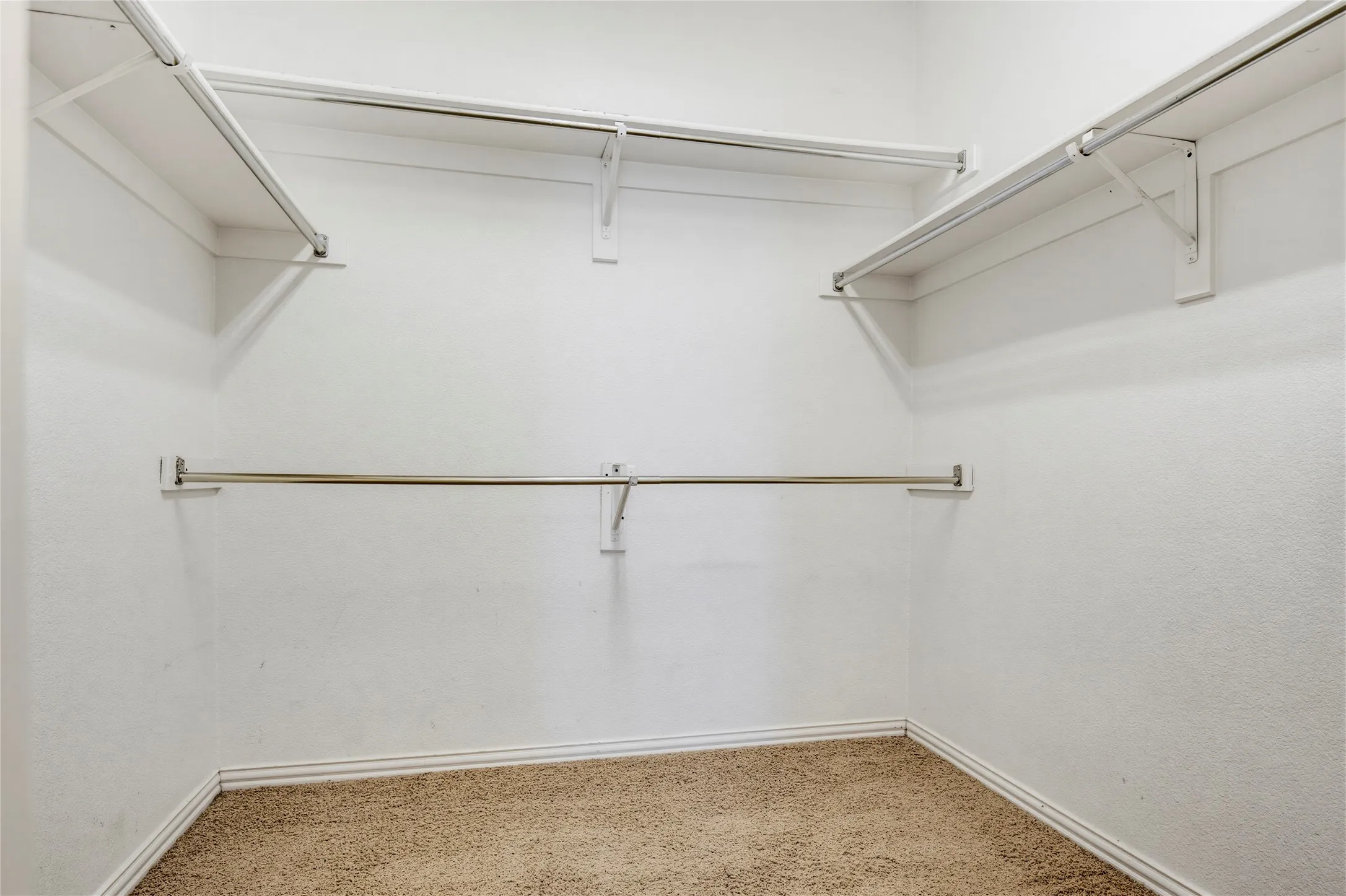 Walk-in closet featuring white walls, carpet flooring, multiple hanging rods, and shelving