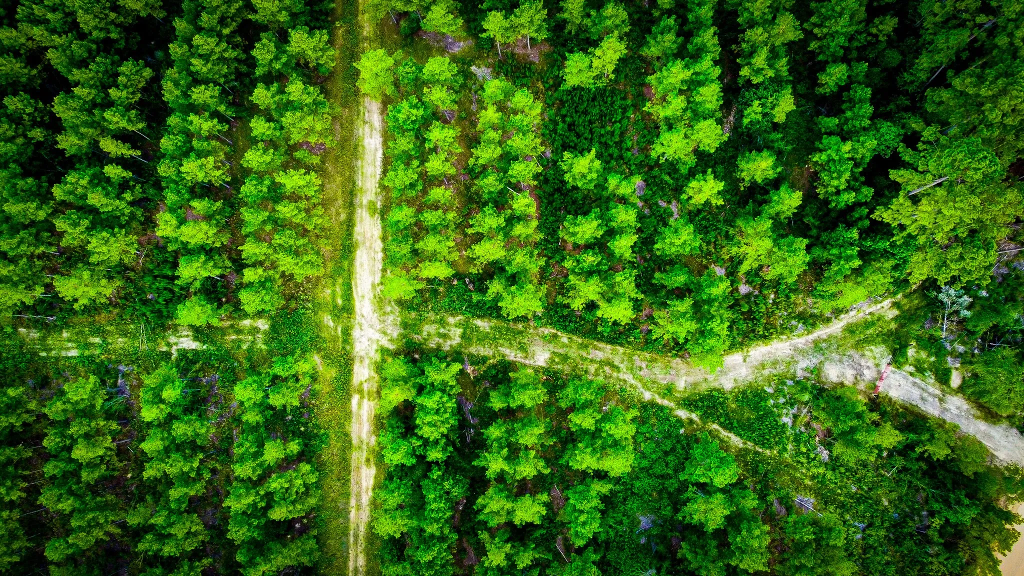 Ranch For Sale in Polk County , 0000 Segno Fire Lane, Livingston, Texas 77351, 0, 0, Garage spaces, 0 Sqft, built in 0, mls#21374740, Real Estate Agent in Livingston, Homes For Sale in Polk county, Homes For Sale in Livingston, Realtor in Livingston Texas, Real Estate Brokerage Independent Realty Texas, Luminita Cordes Realtor
