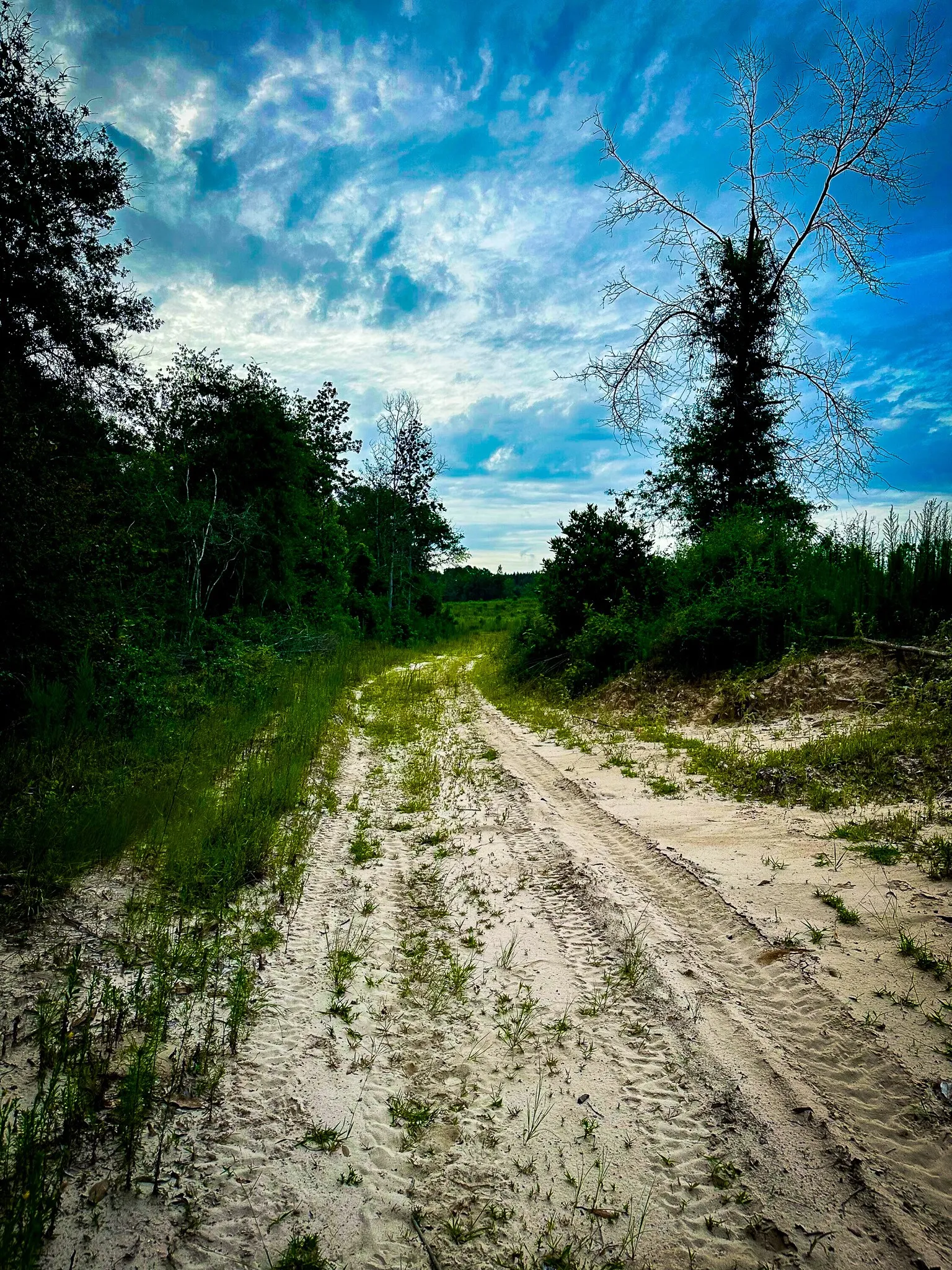 Ranch For Sale in Polk County , 0000 Segno Fire Lane, Livingston, Texas 77351, 0, 0, Garage spaces, 0 Sqft, built in 0, mls#21374740, Real Estate Agent in Livingston, Homes For Sale in Polk county, Homes For Sale in Livingston, Realtor in Livingston Texas, Real Estate Brokerage Independent Realty Texas, Luminita Cordes Realtor