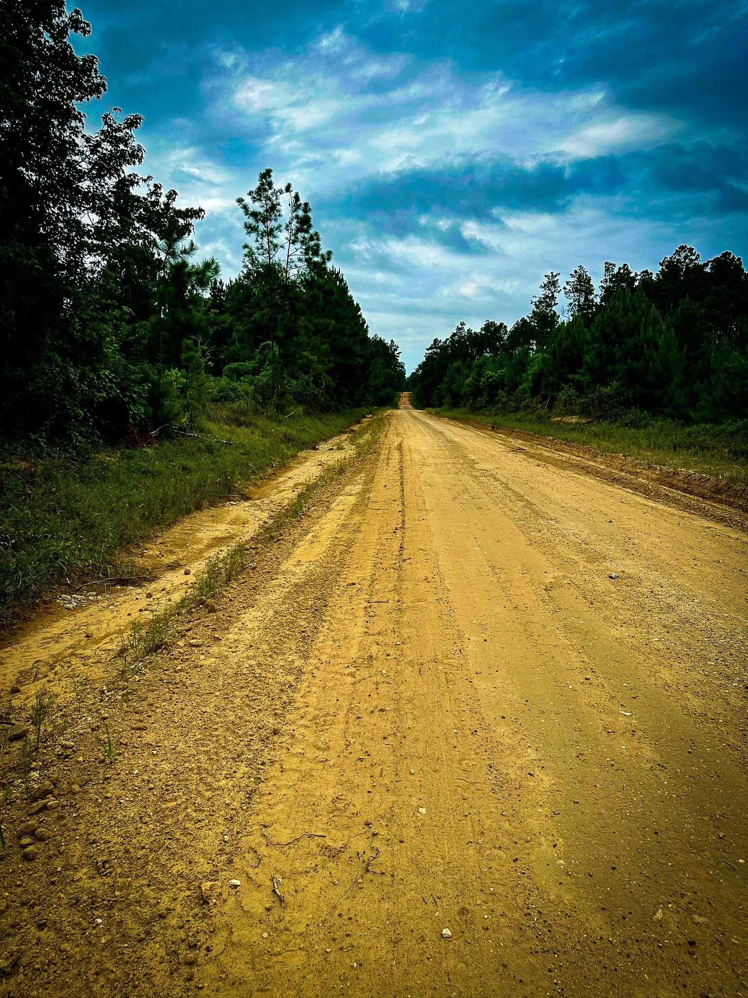 Ranch For Sale in Polk County , 0000 Segno Fire Lane, Livingston, Texas 77351, 0, 0, Garage spaces, 0 Sqft, built in 0, mls#21374740, Real Estate Agent in Livingston, Homes For Sale in Polk county, Homes For Sale in Livingston, Realtor in Livingston Texas, Real Estate Brokerage Independent Realty Texas, Luminita Cordes Realtor