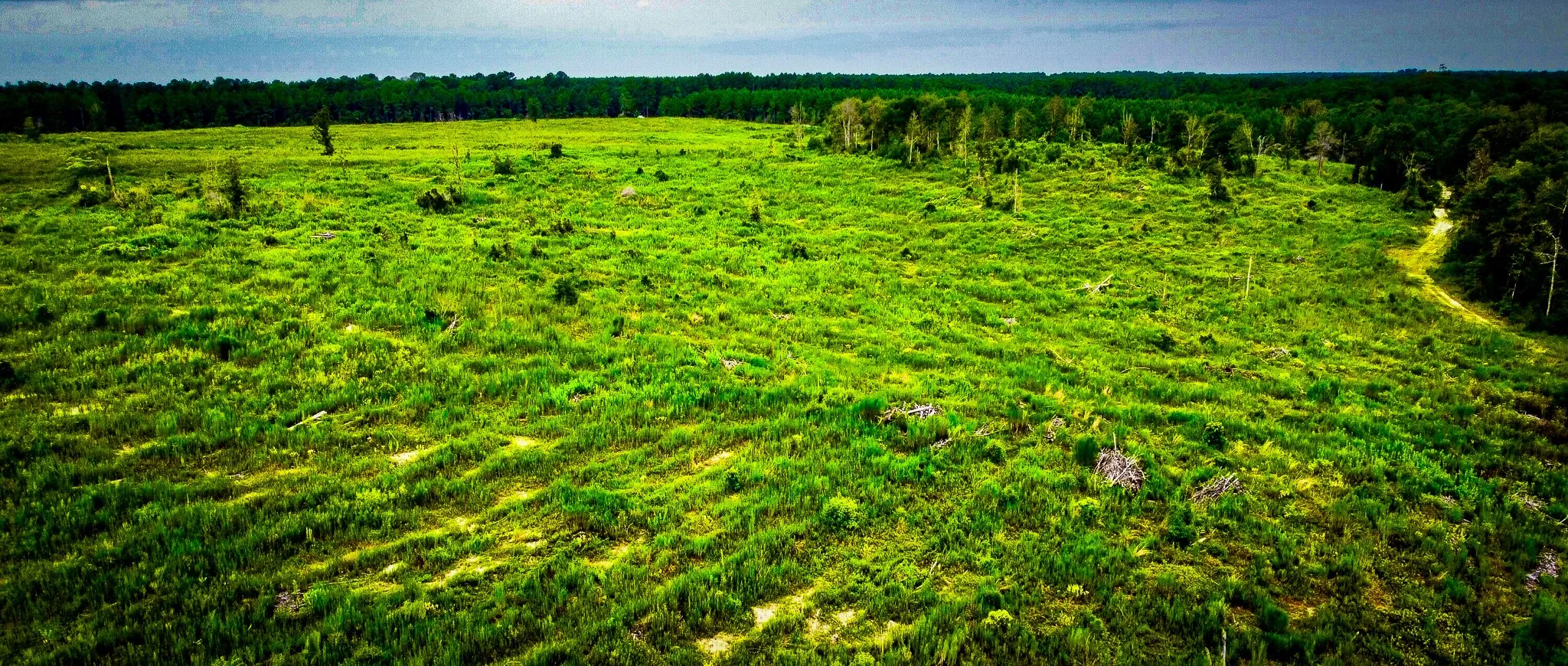 Ranch For Sale in Polk County , 0000 Segno Fire Lane, Livingston, Texas 77351, 0, 0, Garage spaces, 0 Sqft, built in 0, mls#21374740, Real Estate Agent in Livingston, Homes For Sale in Polk county, Homes For Sale in Livingston, Realtor in Livingston Texas, Real Estate Brokerage Independent Realty Texas, Luminita Cordes Realtor