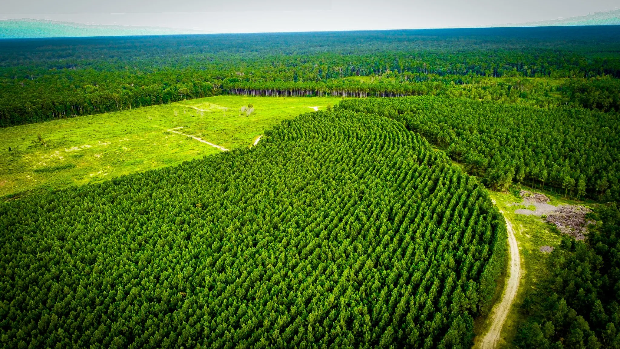 Ranch For Sale in Polk County , 0000 Segno Fire Lane, Livingston, Texas 77351, 0, 0, Garage spaces, 0 Sqft, built in 0, mls#21374740, Real Estate Agent in Livingston, Homes For Sale in Polk county, Homes For Sale in Livingston, Realtor in Livingston Texas, Real Estate Brokerage Independent Realty Texas, Luminita Cordes Realtor