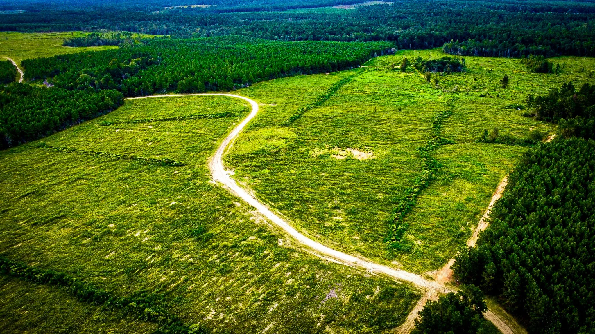 Ranch For Sale in Polk County , 0000 Segno Fire Lane, Livingston, Texas 77351, 0, 0, Garage spaces, 0 Sqft, built in 0, mls#21374740, Real Estate Agent in Livingston, Homes For Sale in Polk county, Homes For Sale in Livingston, Realtor in Livingston Texas, Real Estate Brokerage Independent Realty Texas, Luminita Cordes Realtor
