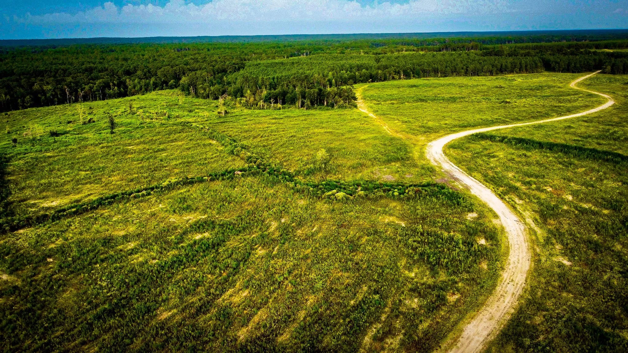 Ranch For Sale in Polk County , 0000 Segno Fire Lane, Livingston, Texas 77351, 0, 0, Garage spaces, 0 Sqft, built in 0, mls#21374740, Real Estate Agent in Livingston, Homes For Sale in Polk county, Homes For Sale in Livingston, Realtor in Livingston Texas, Real Estate Brokerage Independent Realty Texas, Luminita Cordes Realtor