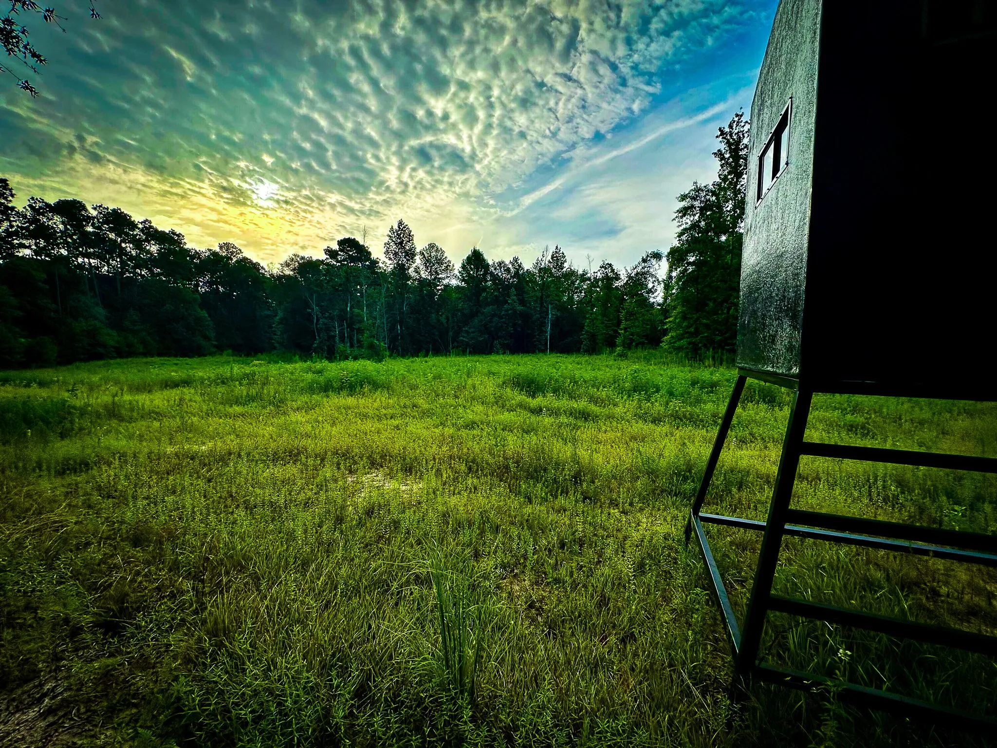 Ranch For Sale in Polk County , 0000 Segno Fire Lane, Livingston, Texas 77351, 0, 0, Garage spaces, 0 Sqft, built in 0, mls#21374740, Real Estate Agent in Livingston, Homes For Sale in Polk county, Homes For Sale in Livingston, Realtor in Livingston Texas, Real Estate Brokerage Independent Realty Texas, Luminita Cordes Realtor