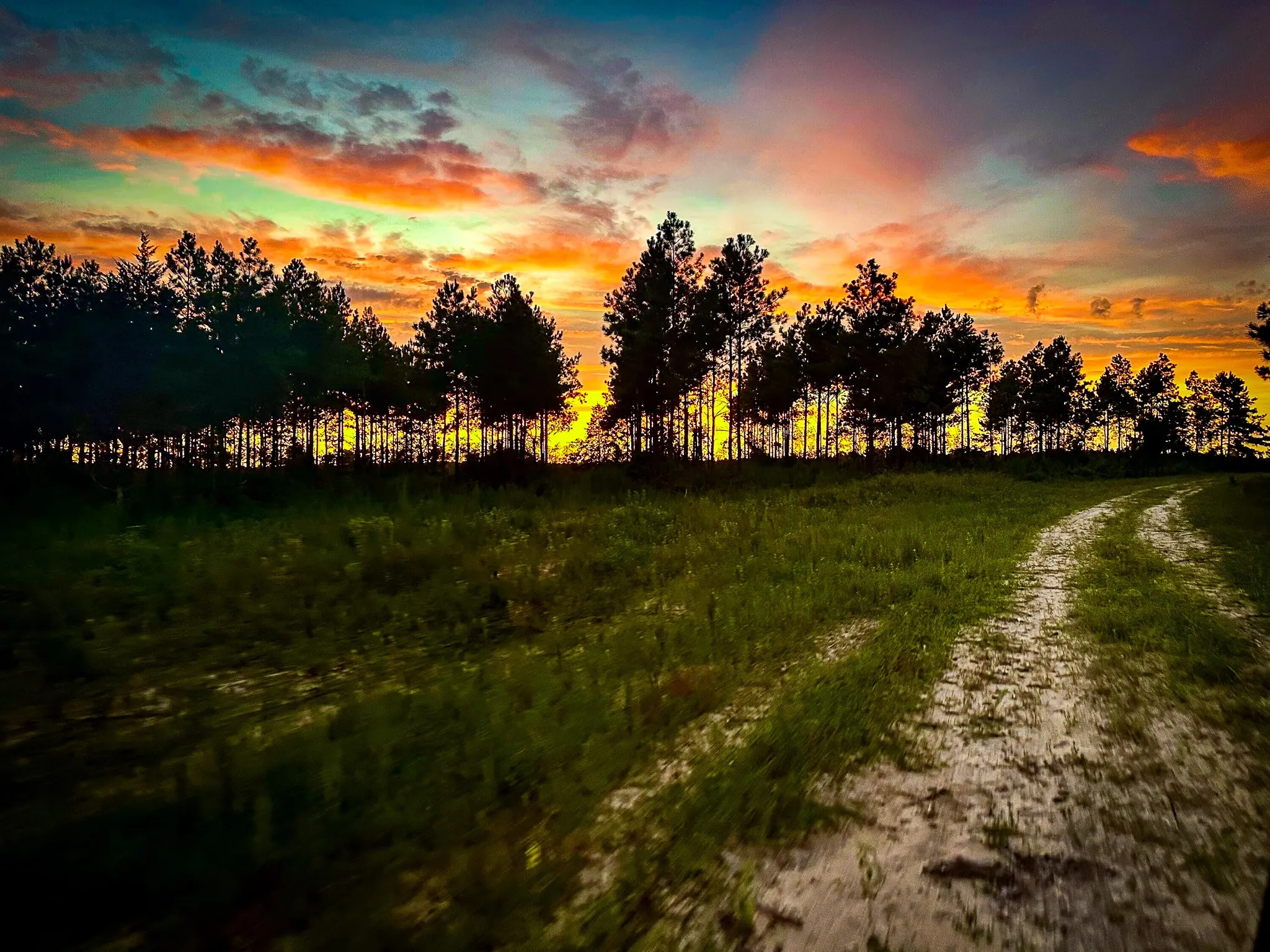 Ranch For Sale in Polk County , 0000 Segno Fire Lane, Livingston, Texas 77351, 0, 0, Garage spaces, 0 Sqft, built in 0, mls#21374740, Real Estate Agent in Livingston, Homes For Sale in Polk county, Homes For Sale in Livingston, Realtor in Livingston Texas, Real Estate Brokerage Independent Realty Texas, Luminita Cordes Realtor