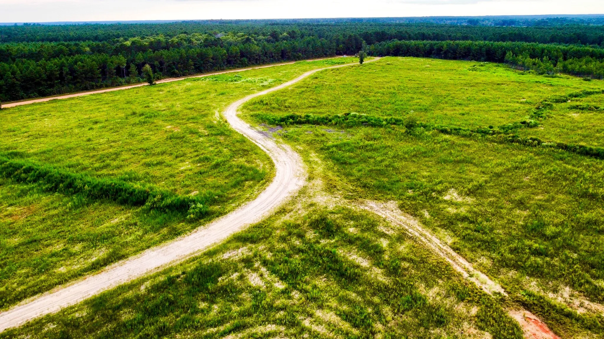 Ranch For Sale in Polk County , 0000 Segno Fire Lane, Livingston, Texas 77351, 0, 0, Garage spaces, 0 Sqft, built in 0, mls#21374740, Real Estate Agent in Livingston, Homes For Sale in Polk county, Homes For Sale in Livingston, Realtor in Livingston Texas, Real Estate Brokerage Independent Realty Texas, Luminita Cordes Realtor
