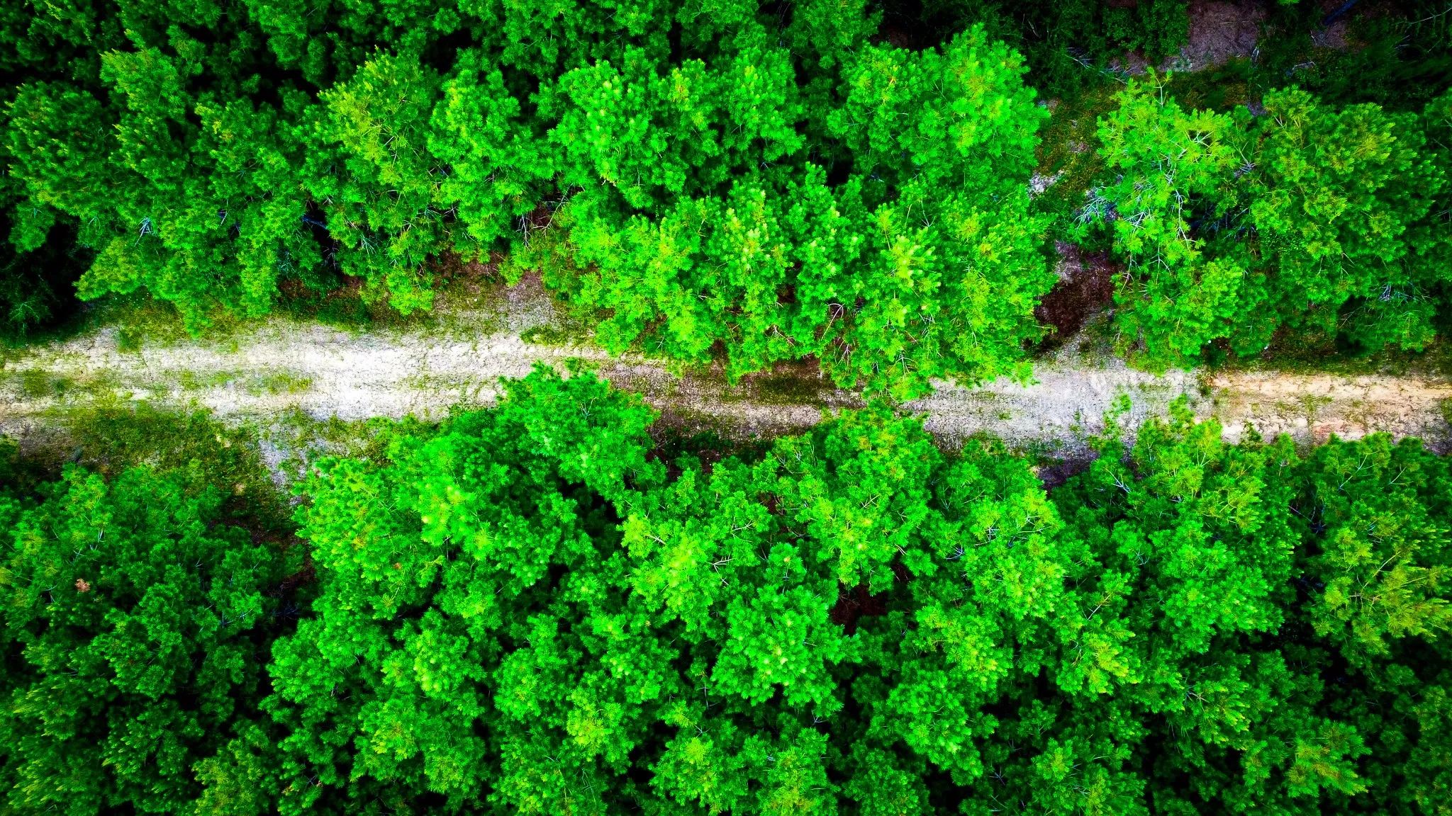Ranch For Sale in Polk County , 0000 Segno Fire Lane, Livingston, Texas 77351, 0, 0, Garage spaces, 0 Sqft, built in 0, mls#21374740, Real Estate Agent in Livingston, Homes For Sale in Polk county, Homes For Sale in Livingston, Realtor in Livingston Texas, Real Estate Brokerage Independent Realty Texas, Luminita Cordes Realtor