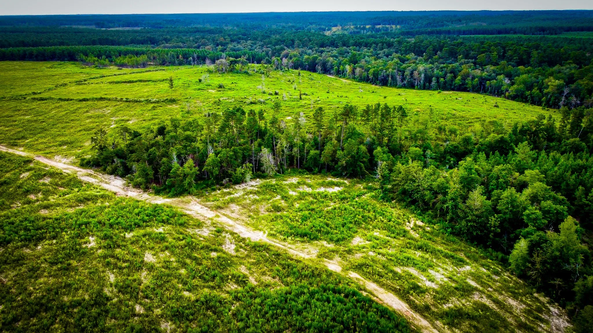 Ranch For Sale in Polk County , 0000 Segno Fire Lane, Livingston, Texas 77351, 0, 0, Garage spaces, 0 Sqft, built in 0, mls#21374740, Real Estate Agent in Livingston, Homes For Sale in Polk county, Homes For Sale in Livingston, Realtor in Livingston Texas, Real Estate Brokerage Independent Realty Texas, Luminita Cordes Realtor