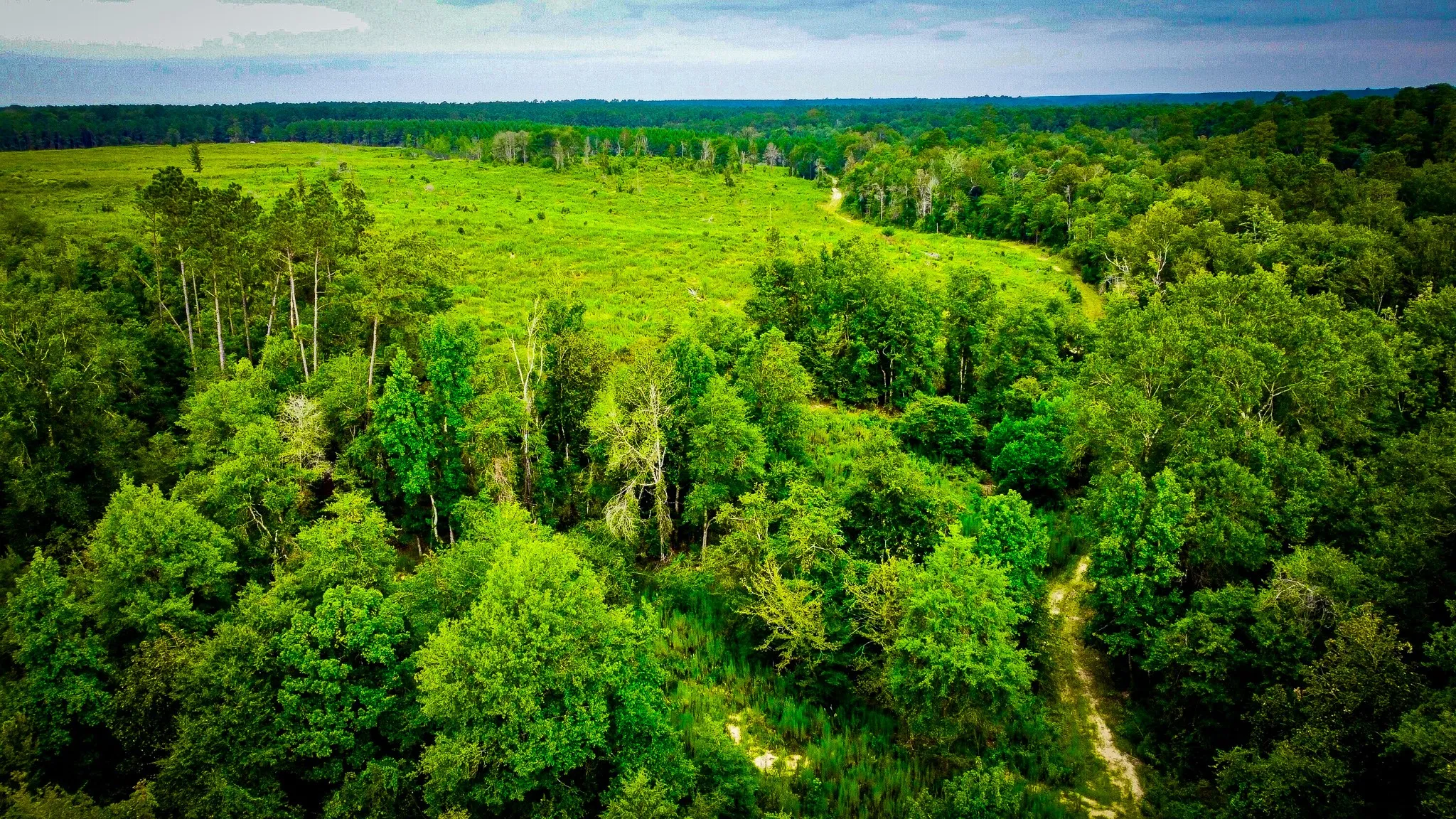 Ranch For Sale in Polk County , 0000 Segno Fire Lane, Livingston, Texas 77351, 0, 0, Garage spaces, 0 Sqft, built in 0, mls#21374740, Real Estate Agent in Livingston, Homes For Sale in Polk county, Homes For Sale in Livingston, Realtor in Livingston Texas, Real Estate Brokerage Independent Realty Texas, Luminita Cordes Realtor