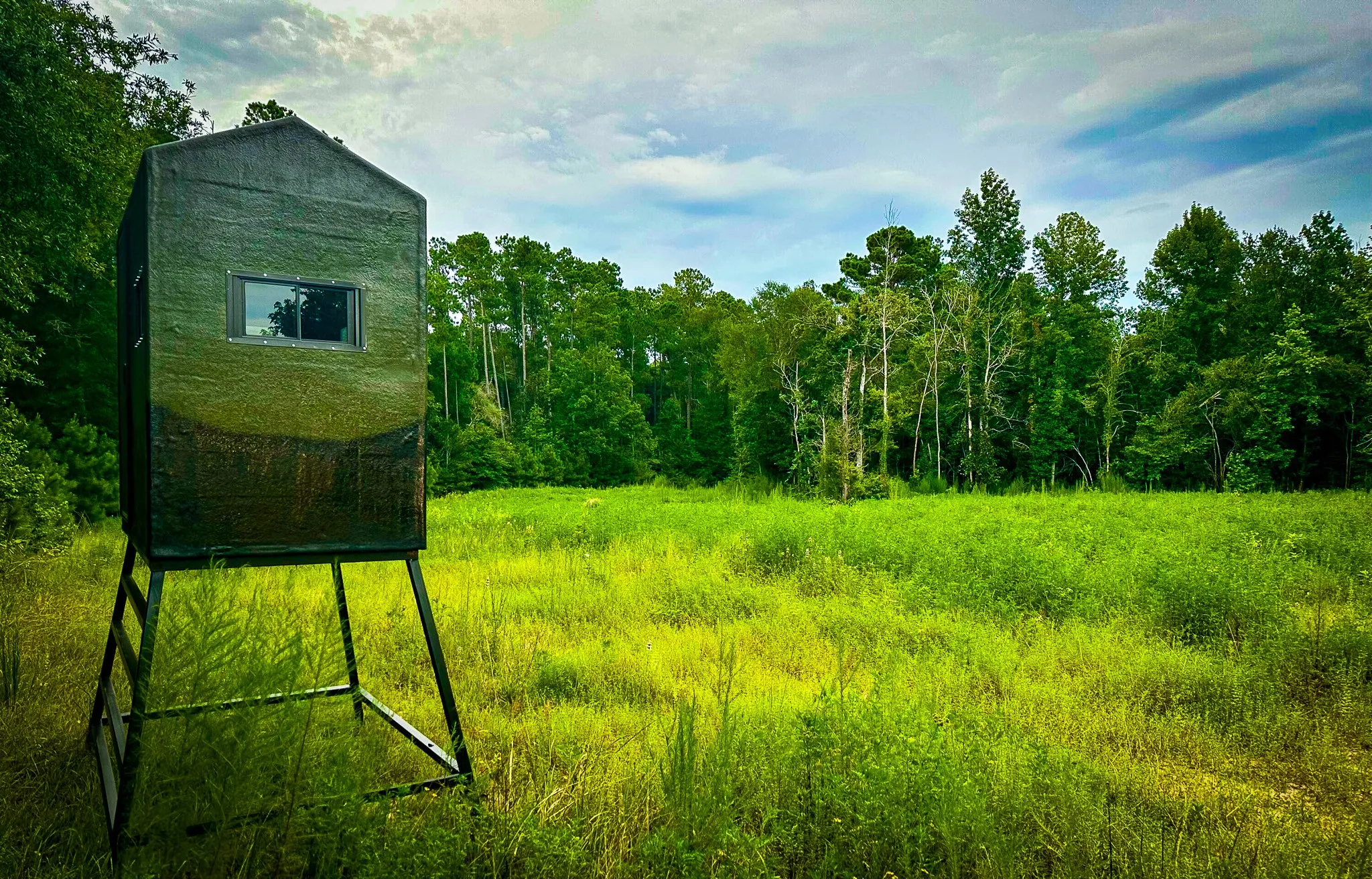 Ranch For Sale in Polk County , 0000 Segno Fire Lane, Livingston, Texas 77351, 0, 0, Garage spaces, 0 Sqft, built in 0, mls#21374740, Real Estate Agent in Livingston, Homes For Sale in Polk county, Homes For Sale in Livingston, Realtor in Livingston Texas, Real Estate Brokerage Independent Realty Texas, Luminita Cordes Realtor