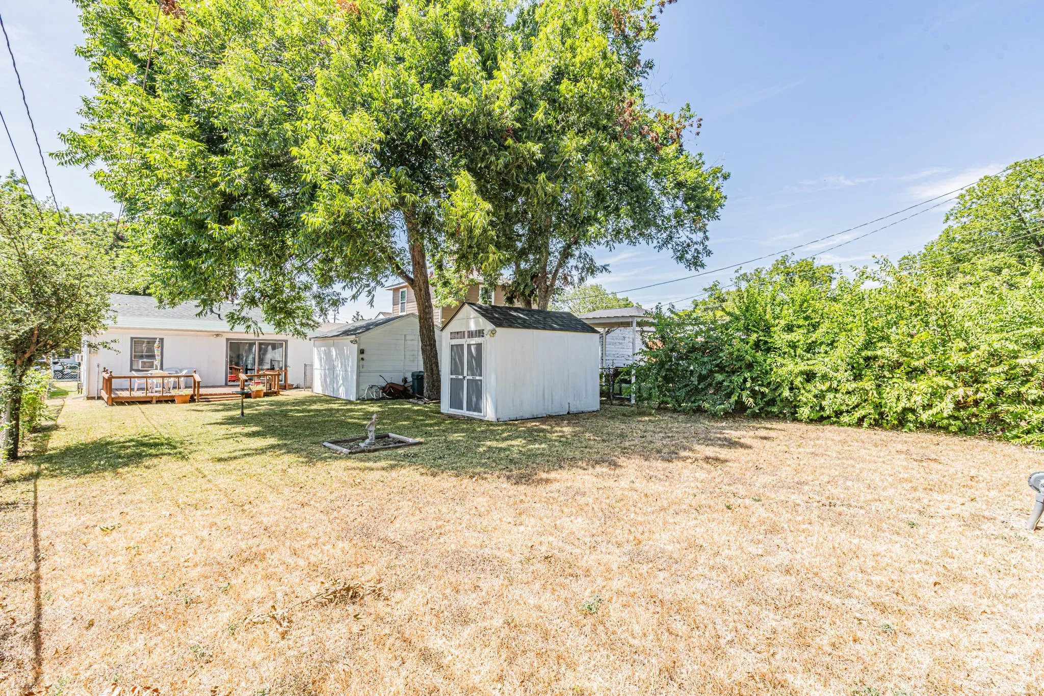 Expansive backyard featuring a wood deck, mature trees, and storage shed
