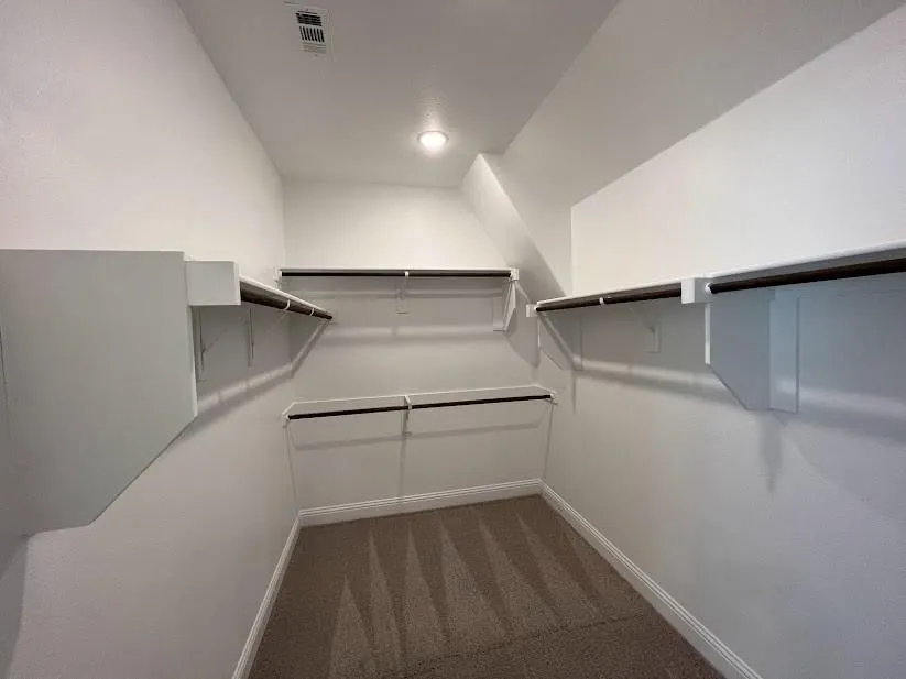 Walk-in closet featuring carpet flooring, built-in shelving, and hanging rods