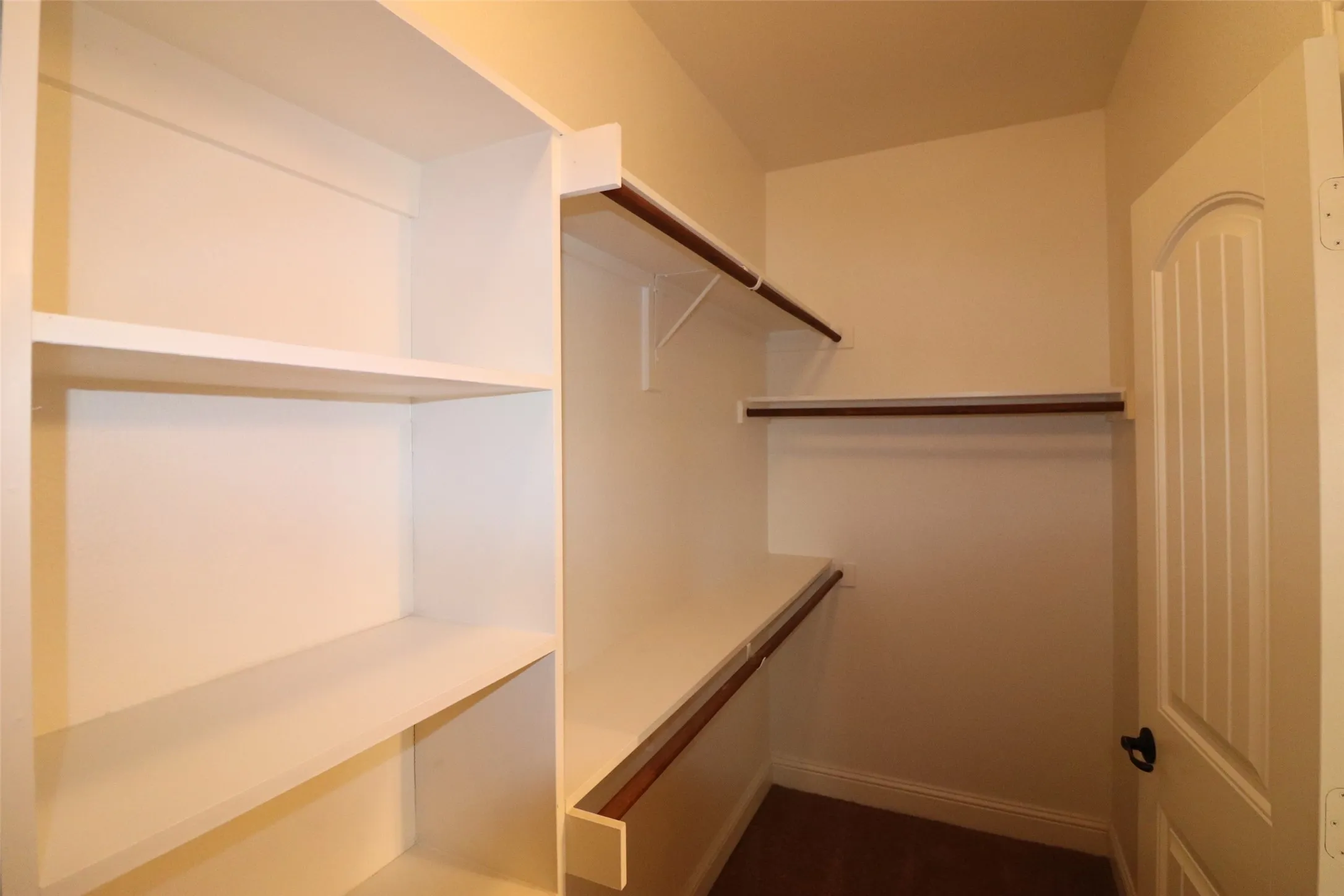 Built-in shelving, multiple hanging rods, and an arched panel door