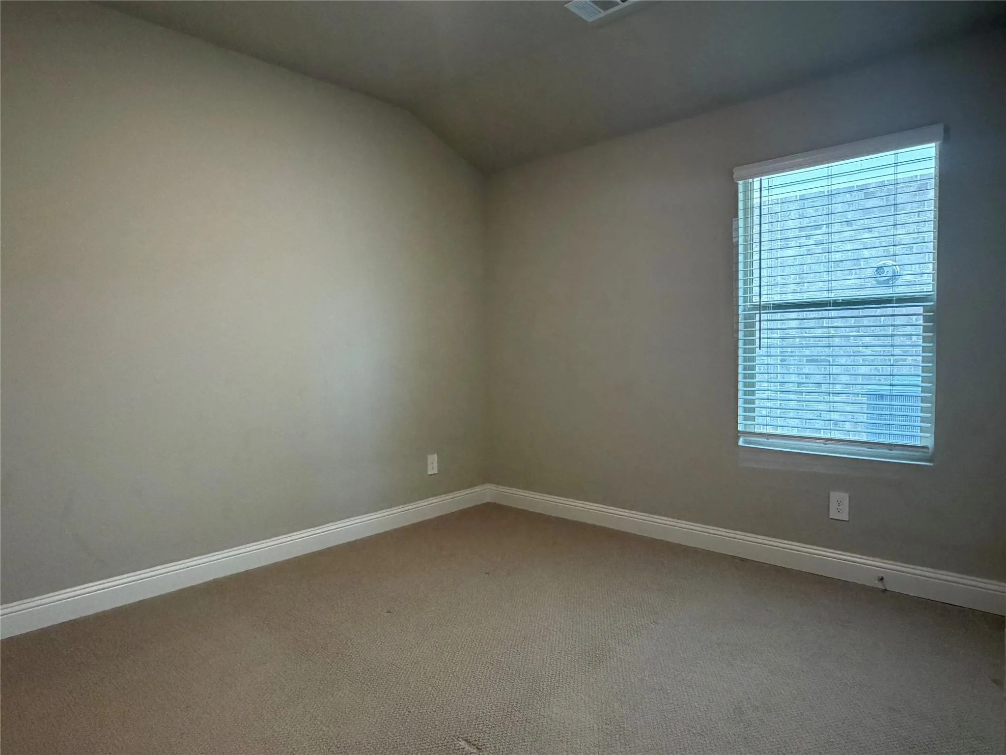 Window with horizontal blinds, neutral wall paint, and carpeting