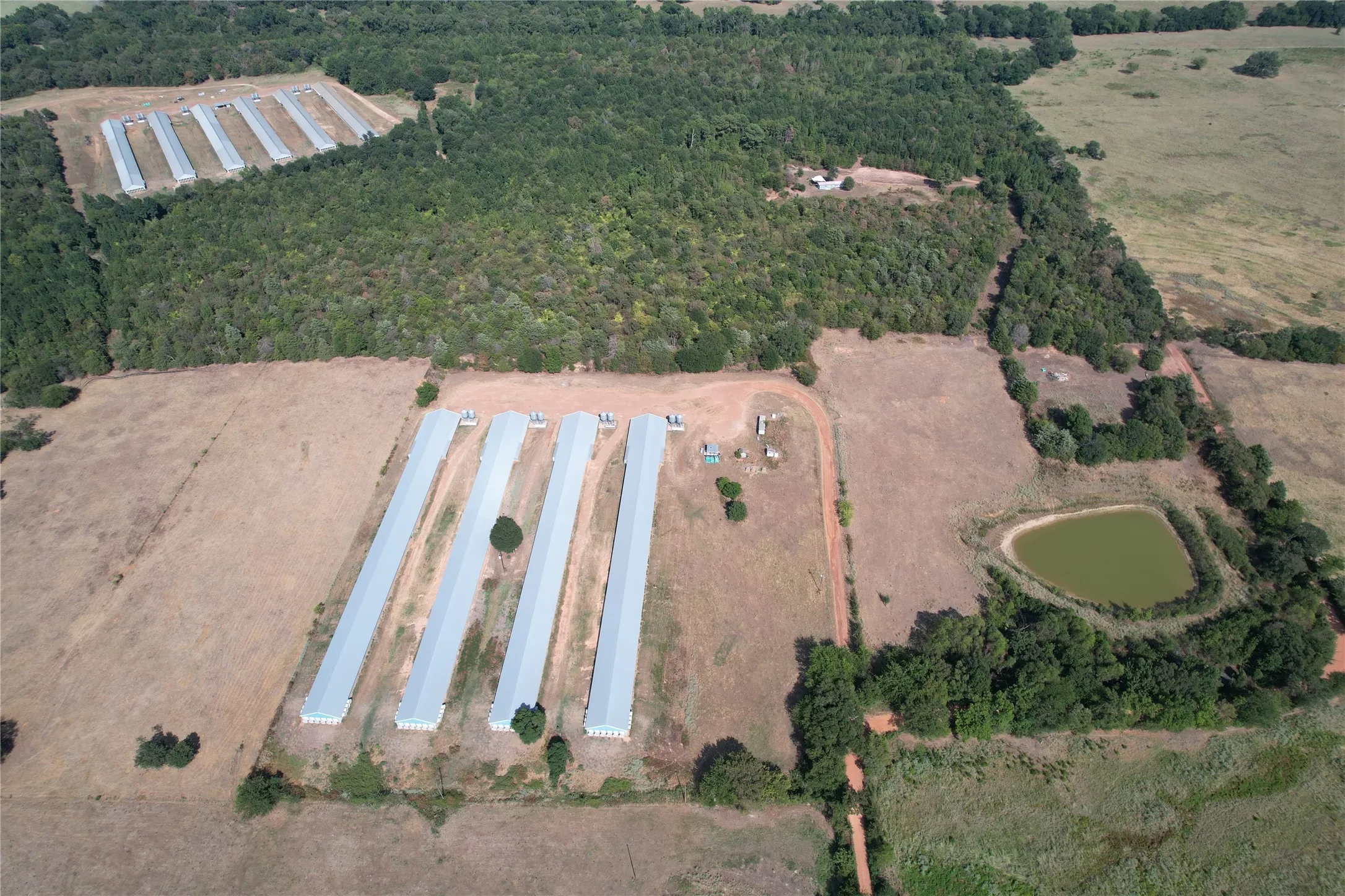 Business For Sale in Wood County , 367 Private Rd 5475, Como, Texas 75431, 0, 0, Garage spaces, 0 Sqft, built in 2004, mls#21373928, Real Estate Agent in Como, Homes For Sale in Wood county, Homes For Sale in Como, Realtor in Como Texas, Real Estate Brokerage Independent Realty Texas, Luminita Cordes Realtor