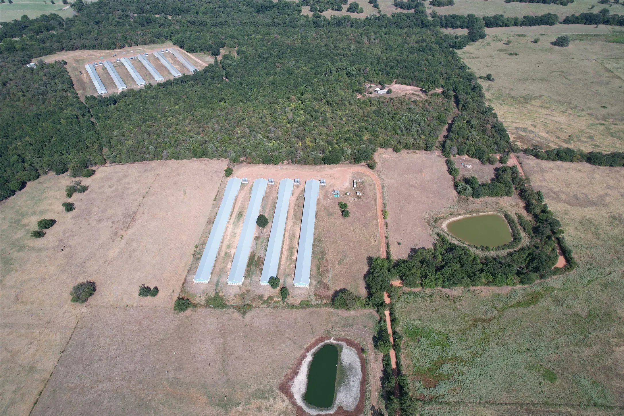 Business For Sale in Wood County , 367 Private Rd 5475, Como, Texas 75431, 0, 0, Garage spaces, 0 Sqft, built in 2004, mls#21373928, Real Estate Agent in Como, Homes For Sale in Wood county, Homes For Sale in Como, Realtor in Como Texas, Real Estate Brokerage Independent Realty Texas, Luminita Cordes Realtor