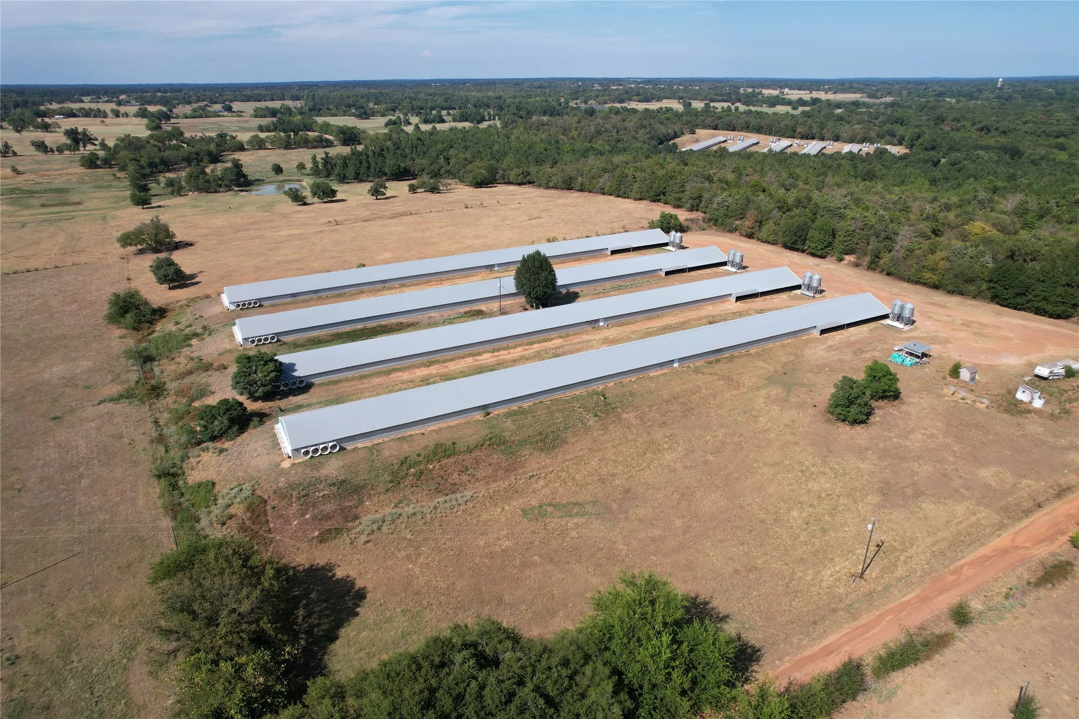 Business For Sale in Wood County , 367 Private Rd 5475, Como, Texas 75431, 0, 0, Garage spaces, 0 Sqft, built in 2004, mls#21373928, Real Estate Agent in Como, Homes For Sale in Wood county, Homes For Sale in Como, Realtor in Como Texas, Real Estate Brokerage Independent Realty Texas, Luminita Cordes Realtor