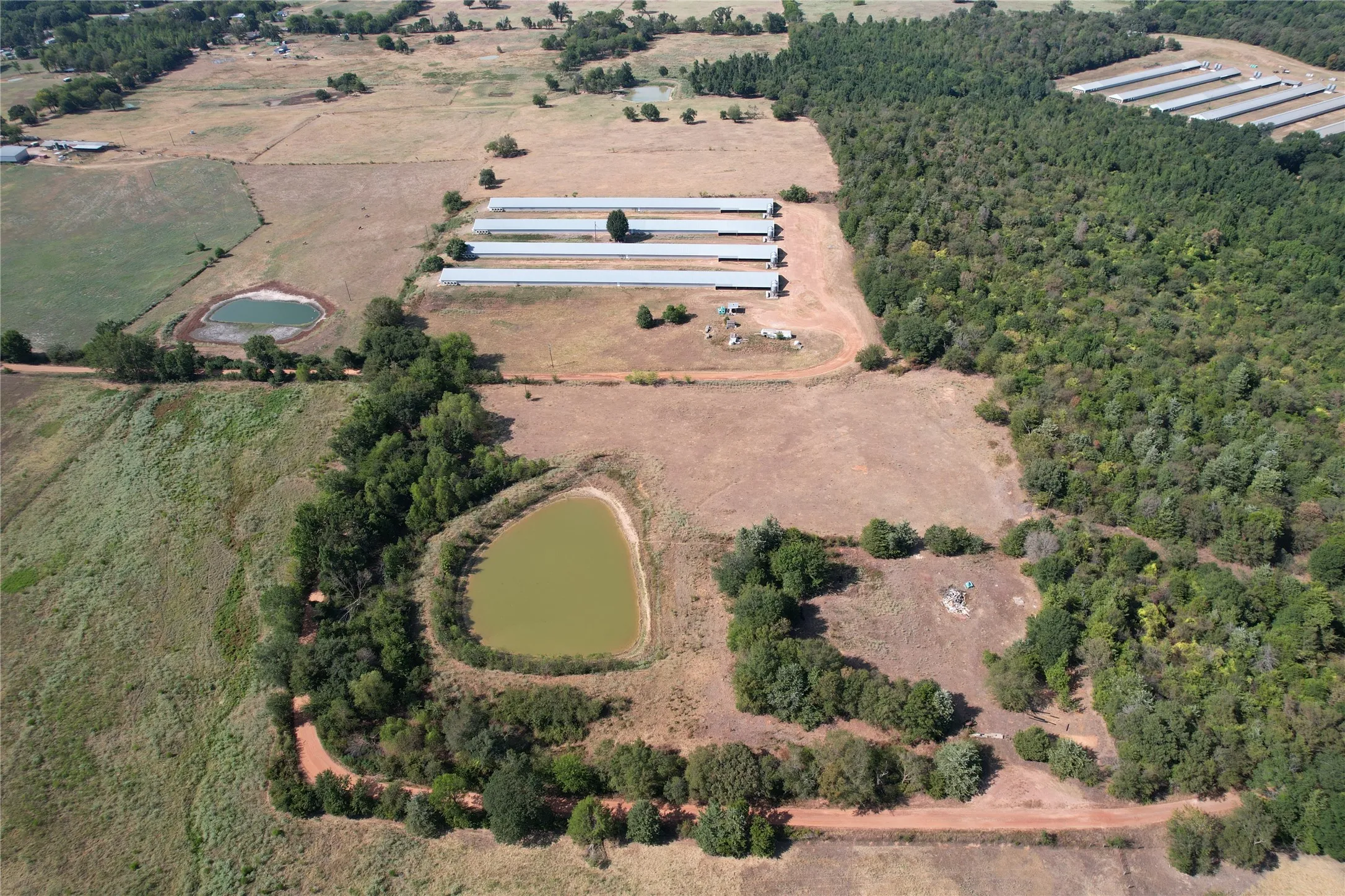 Business For Sale in Wood County , 367 Private Rd 5475, Como, Texas 75431, 0, 0, Garage spaces, 0 Sqft, built in 2004, mls#21373928, Real Estate Agent in Como, Homes For Sale in Wood county, Homes For Sale in Como, Realtor in Como Texas, Real Estate Brokerage Independent Realty Texas, Luminita Cordes Realtor