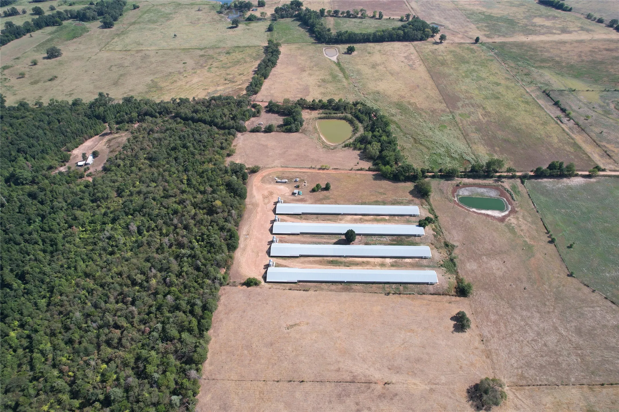 Business For Sale in Wood County , 367 Private Rd 5475, Como, Texas 75431, 0, 0, Garage spaces, 0 Sqft, built in 2004, mls#21373928, Real Estate Agent in Como, Homes For Sale in Wood county, Homes For Sale in Como, Realtor in Como Texas, Real Estate Brokerage Independent Realty Texas, Luminita Cordes Realtor